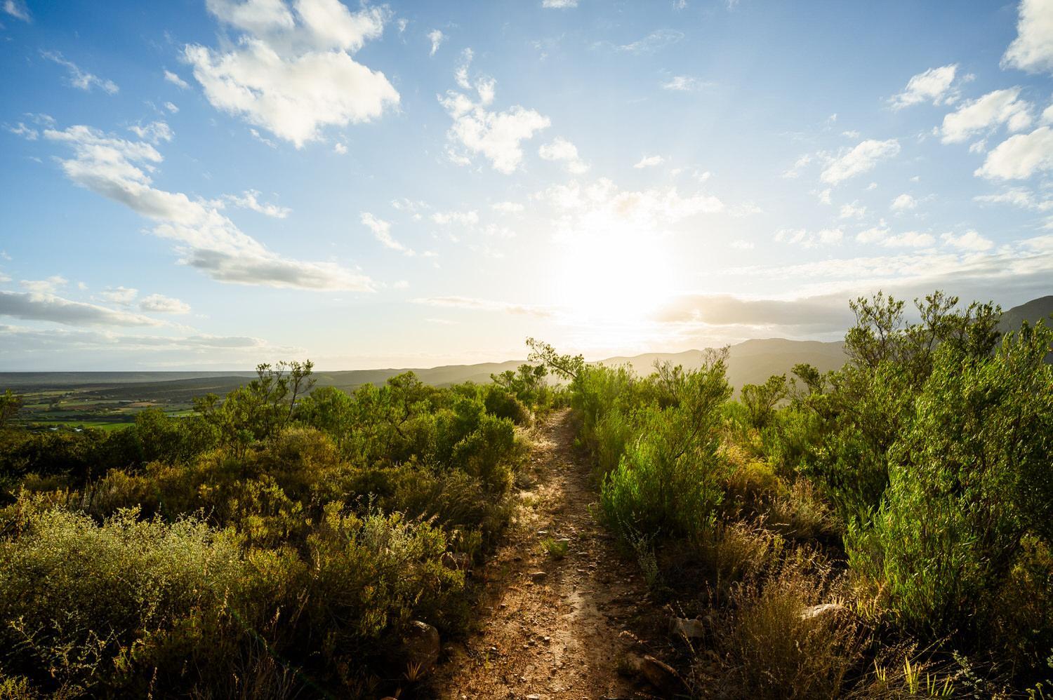Le Petit Karoo view 2
