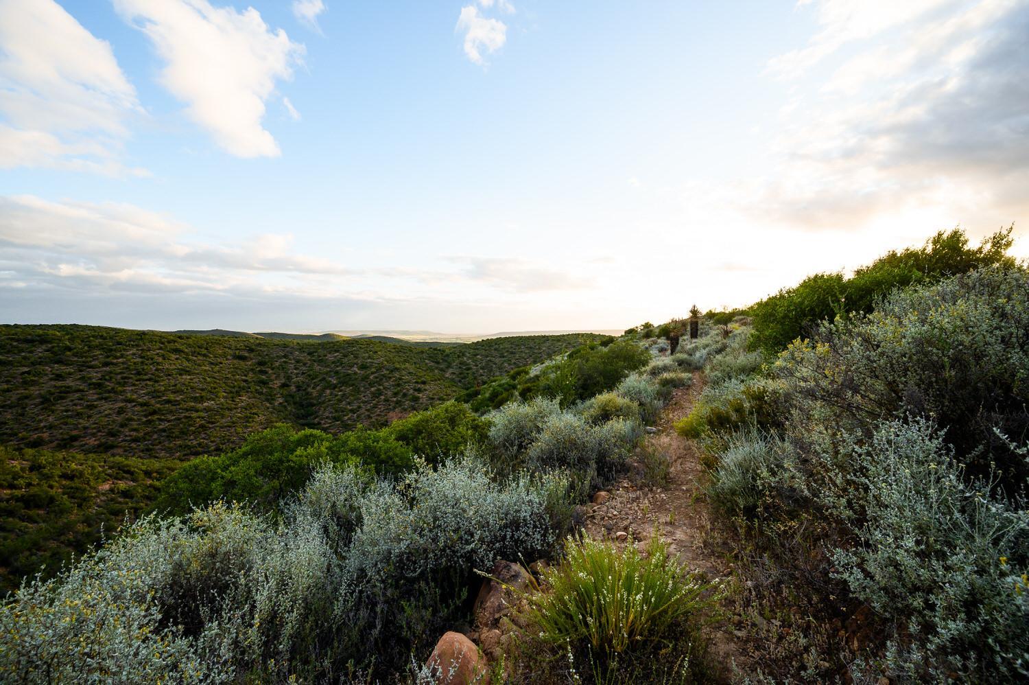 Le Petit Karoo view 3