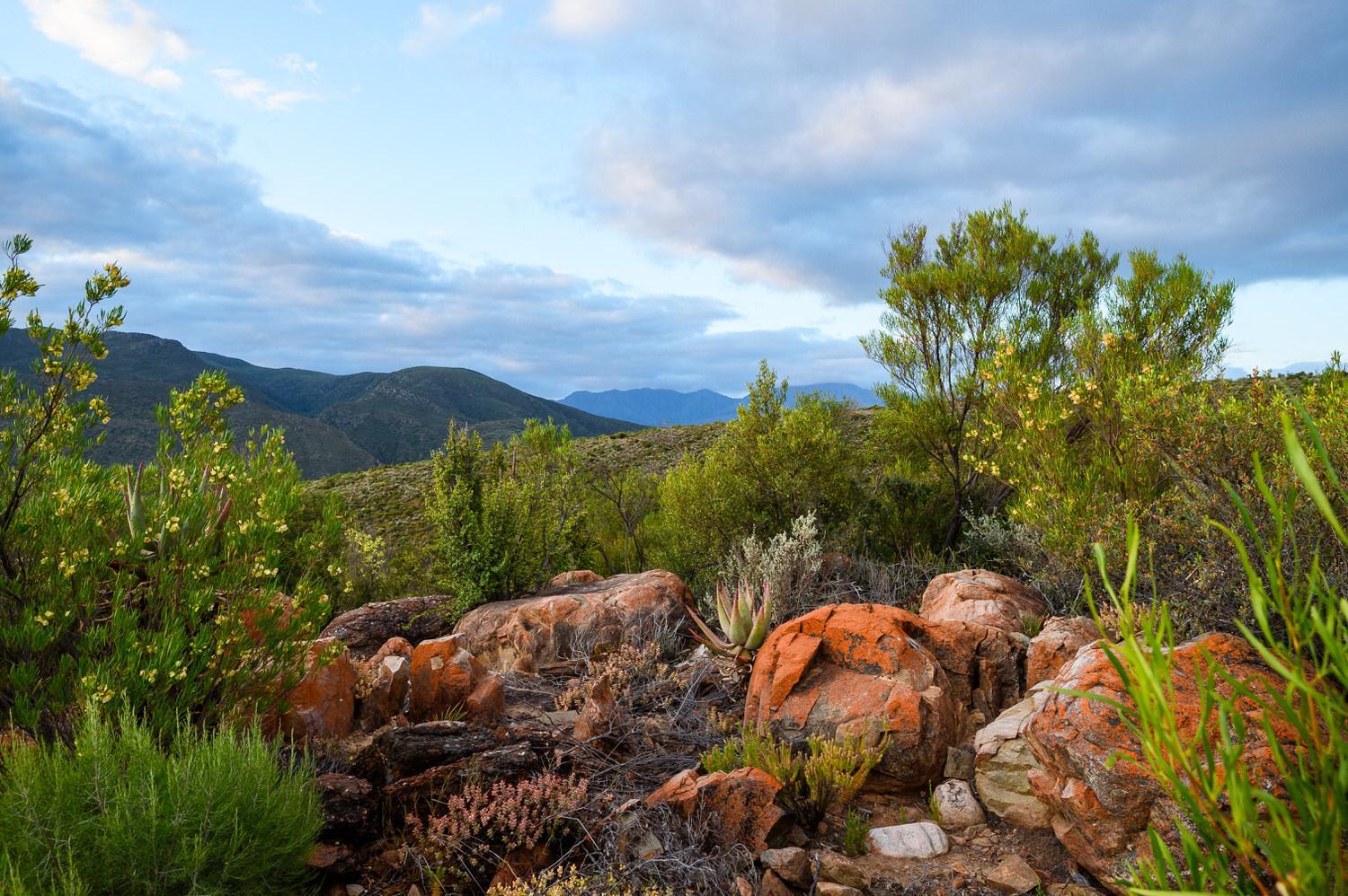 Le Petit Karoo view 4