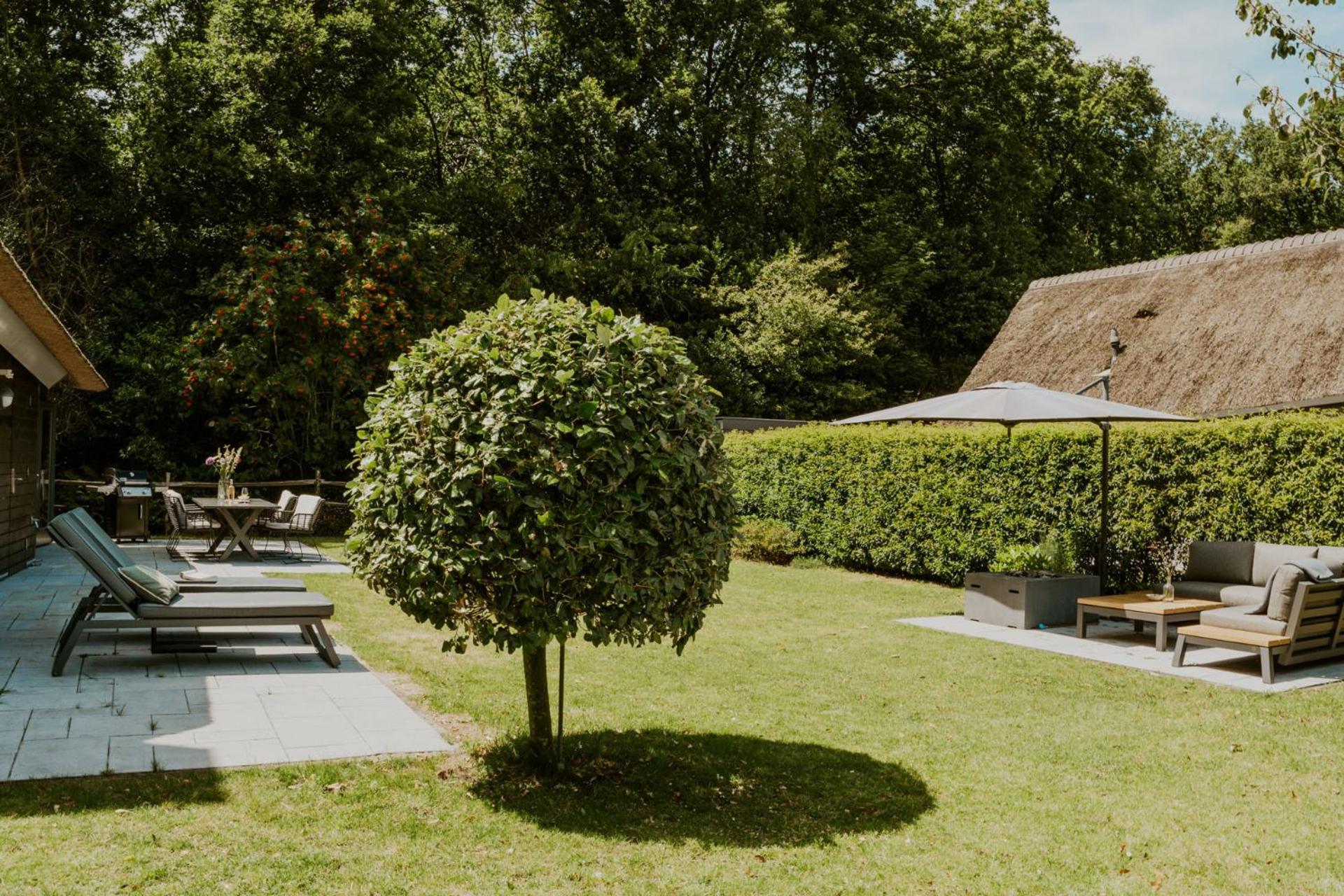 Dutchen Villapark Mooi Schoorl