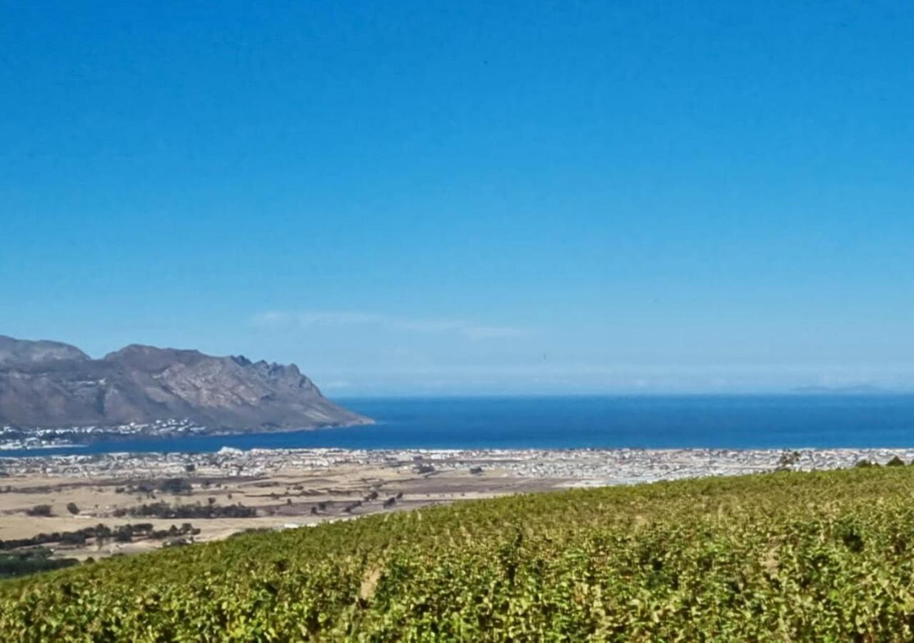 13 Olives, Entire Grape & Olive Estate, Somerset West by Euphoric Leisure view 5