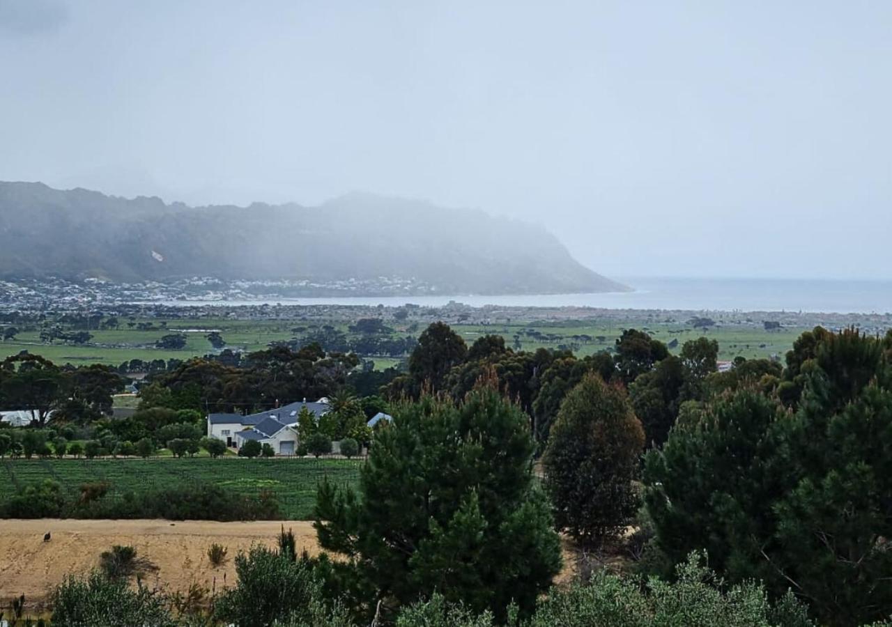 13 Olives, Entire Grape & Olive Estate, Somerset West by Euphoric Leisure view 3