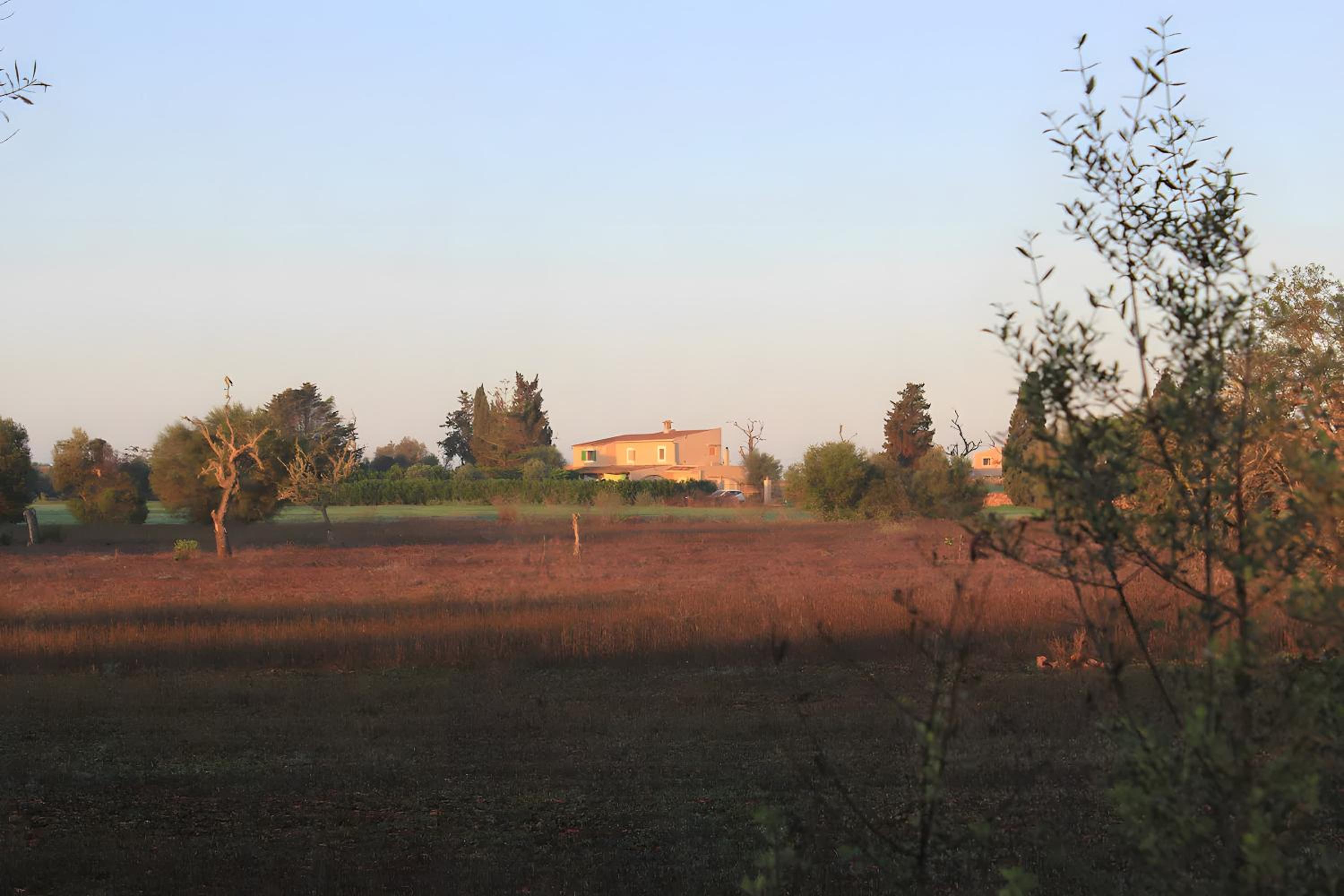 Finca Cas Forner