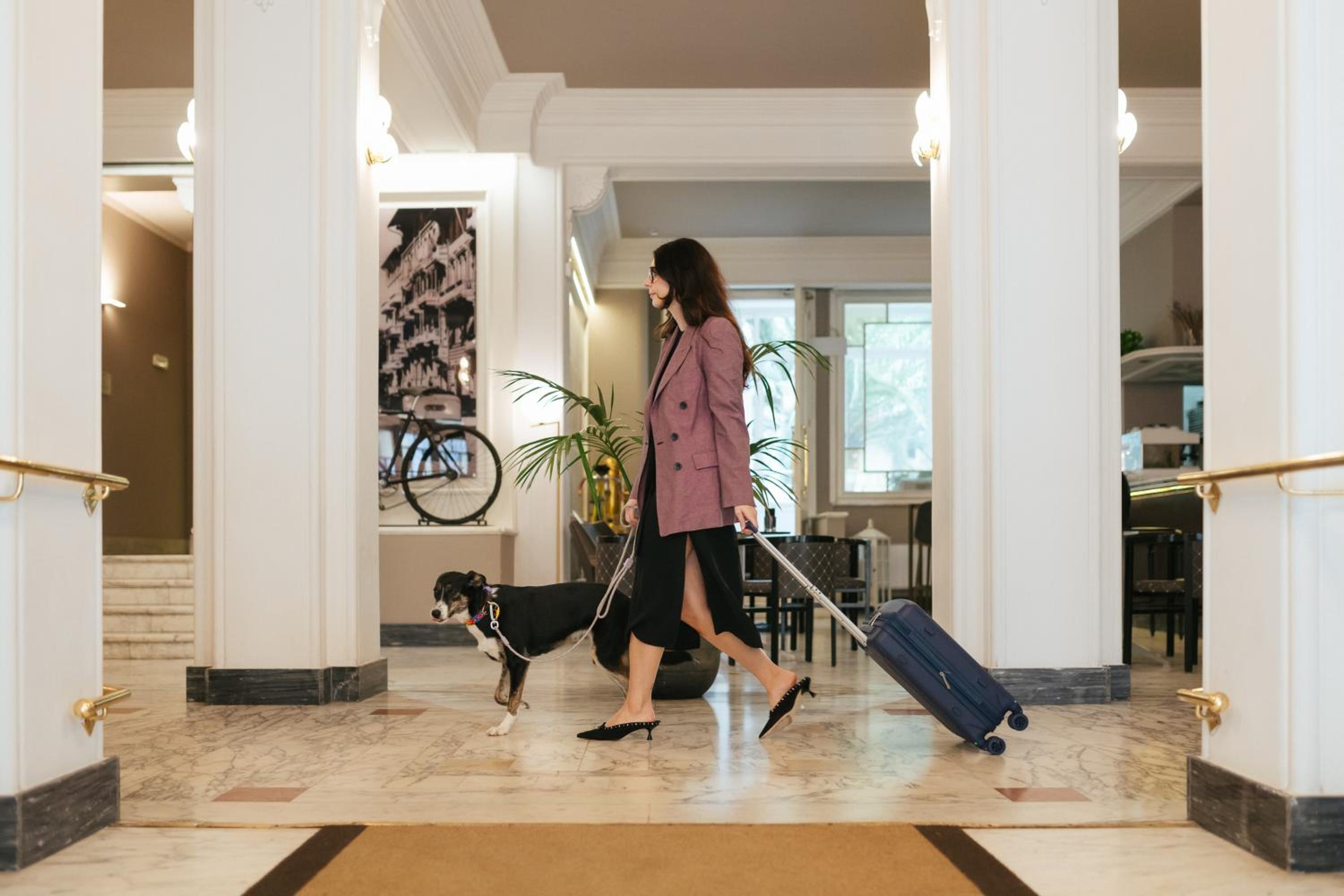 Viareggio Vacations - Hotel Residence Esplanade - Property Image 183