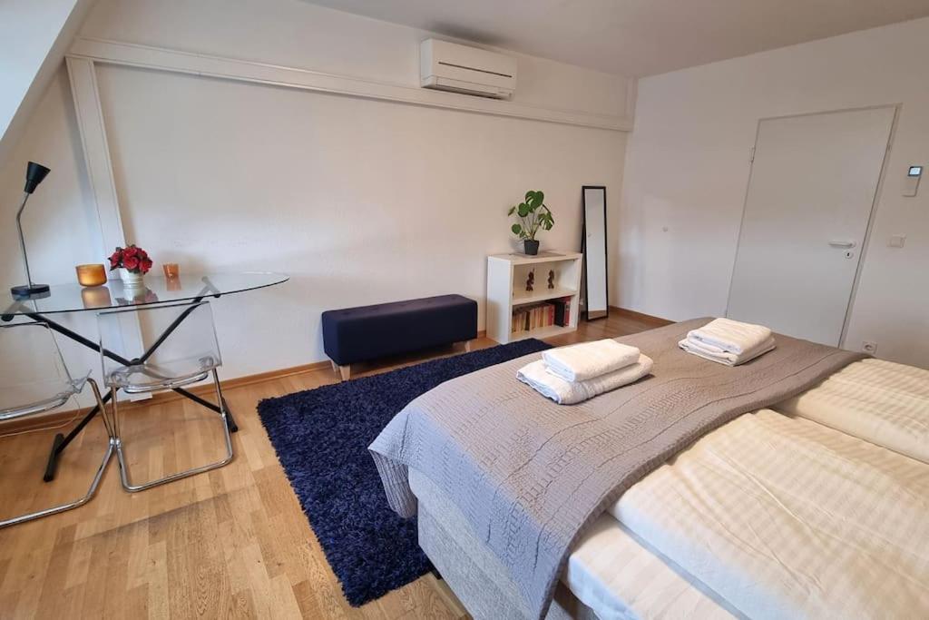 Comfortable central apartment