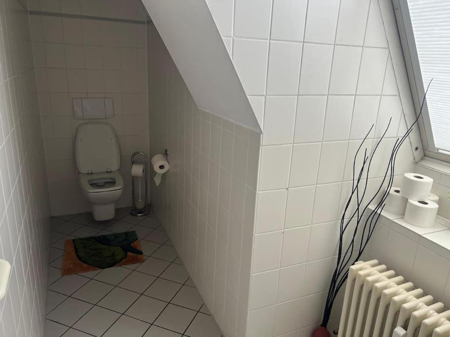 Comfortable central apartment