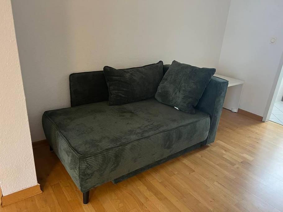 Comfortable central apartment