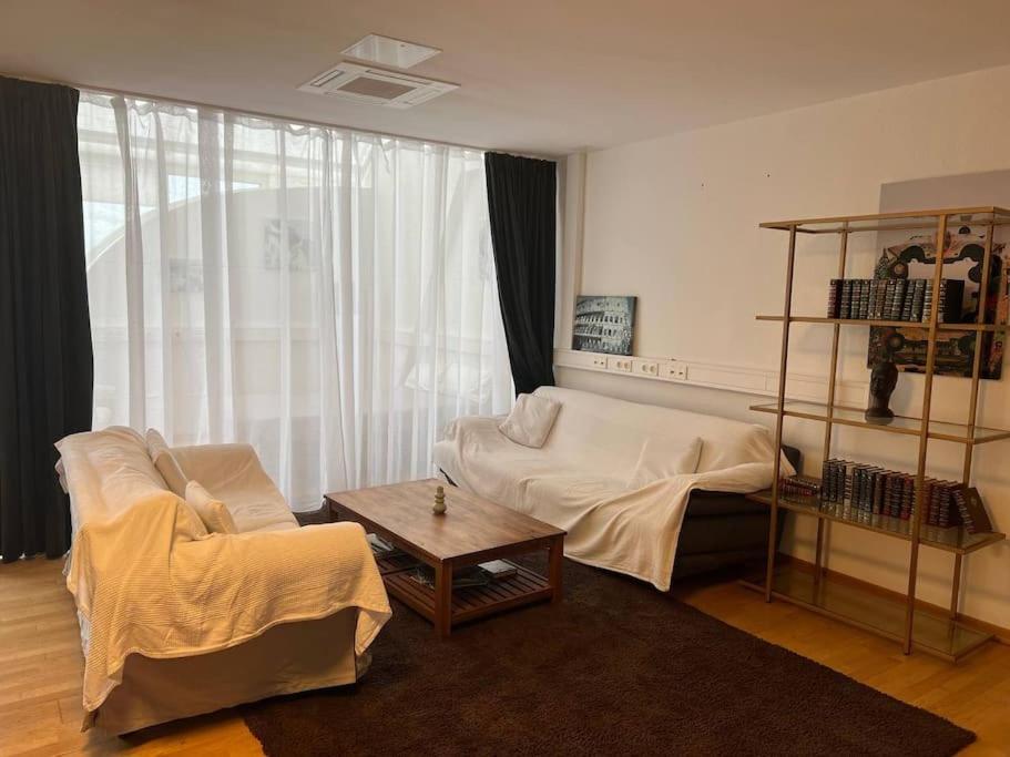 Comfortable central apartment
