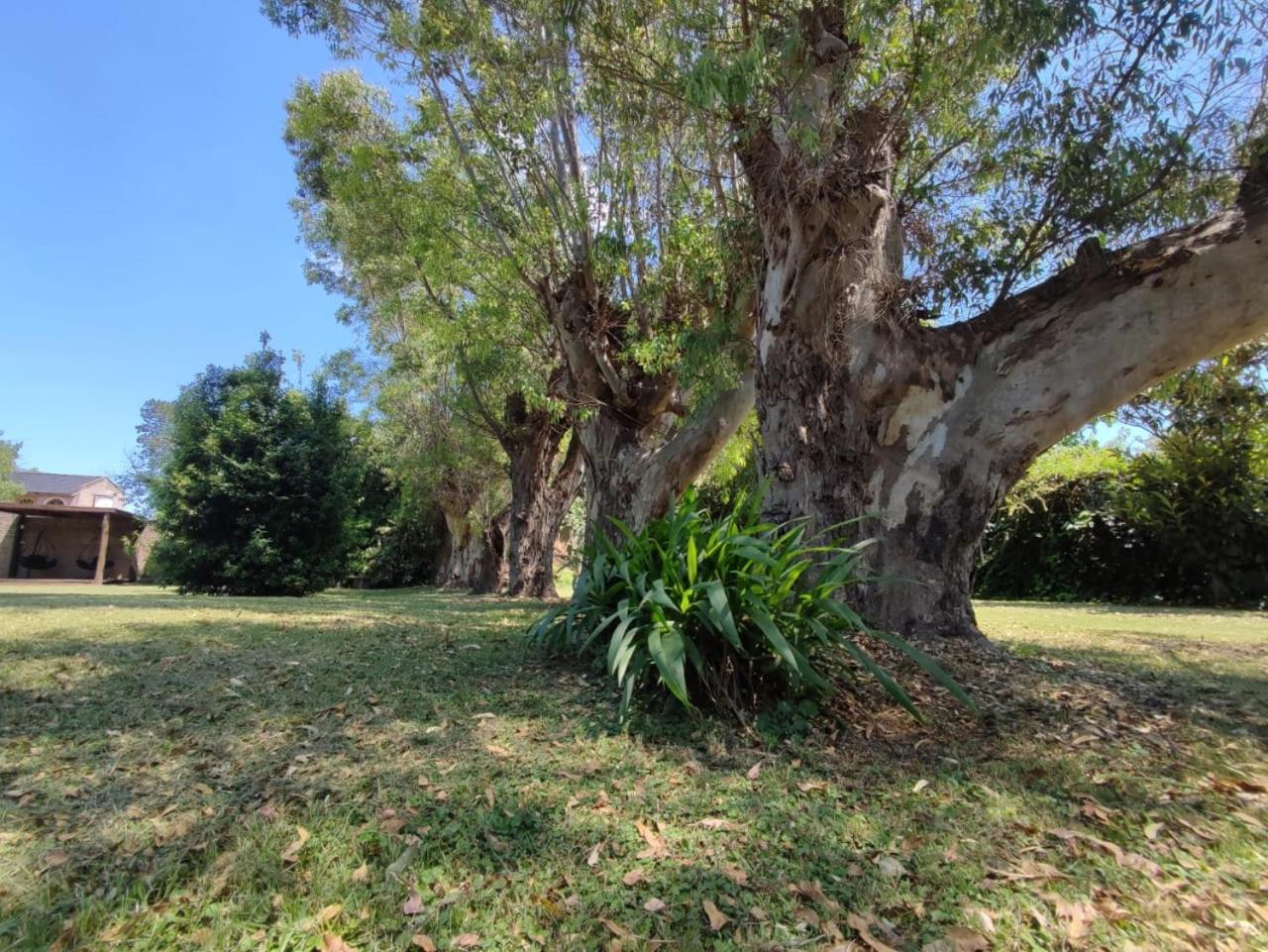 Quinta Doña Luisa
