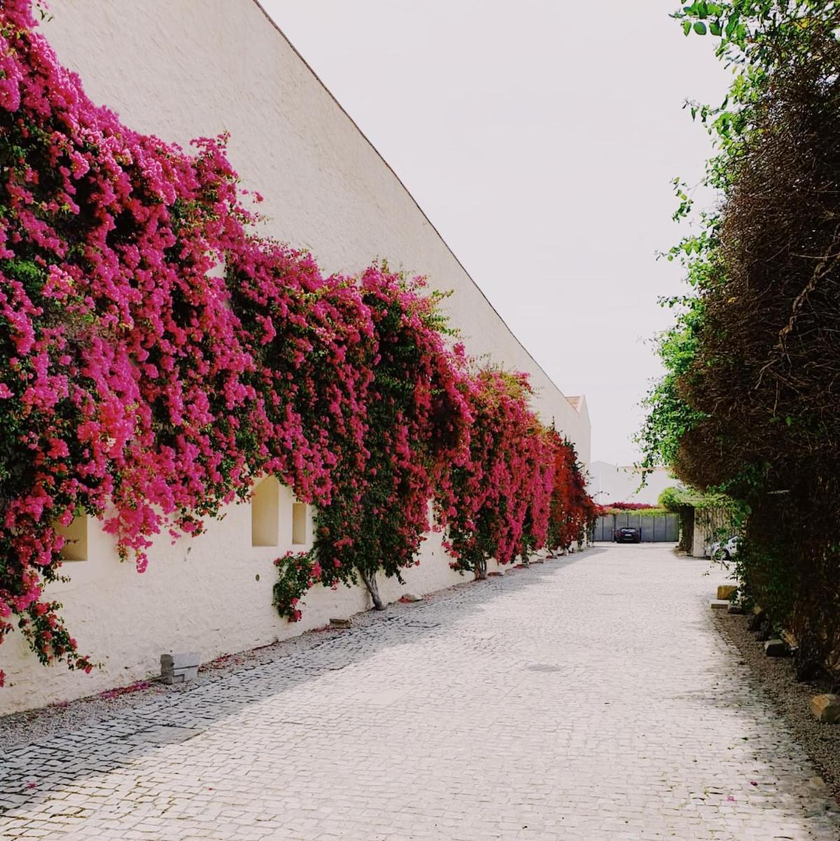 Apartamento Convento das Bernadas Tavira