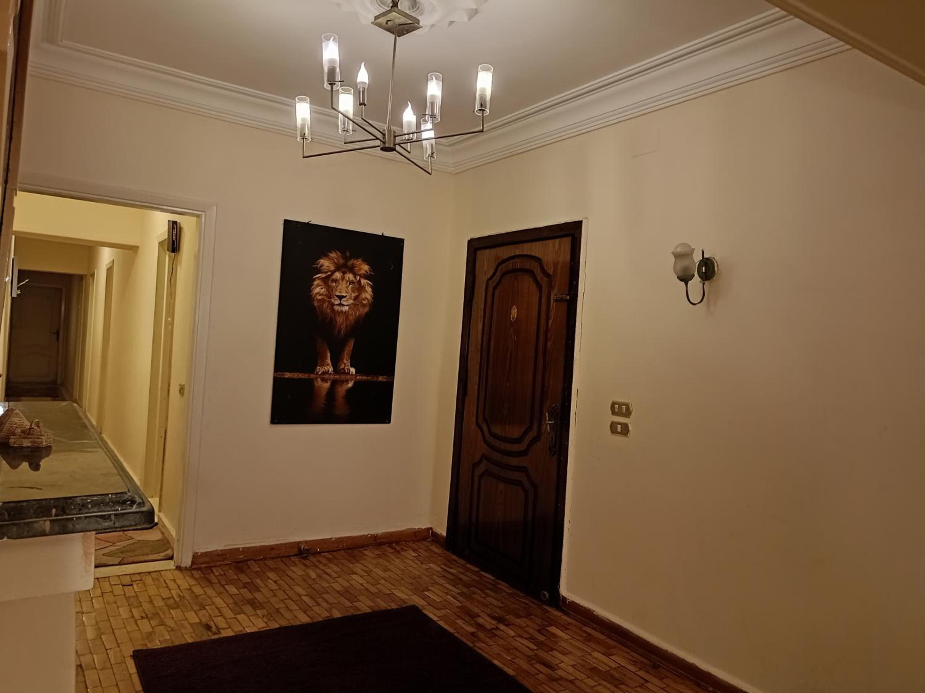Private entrance studio in Maadi