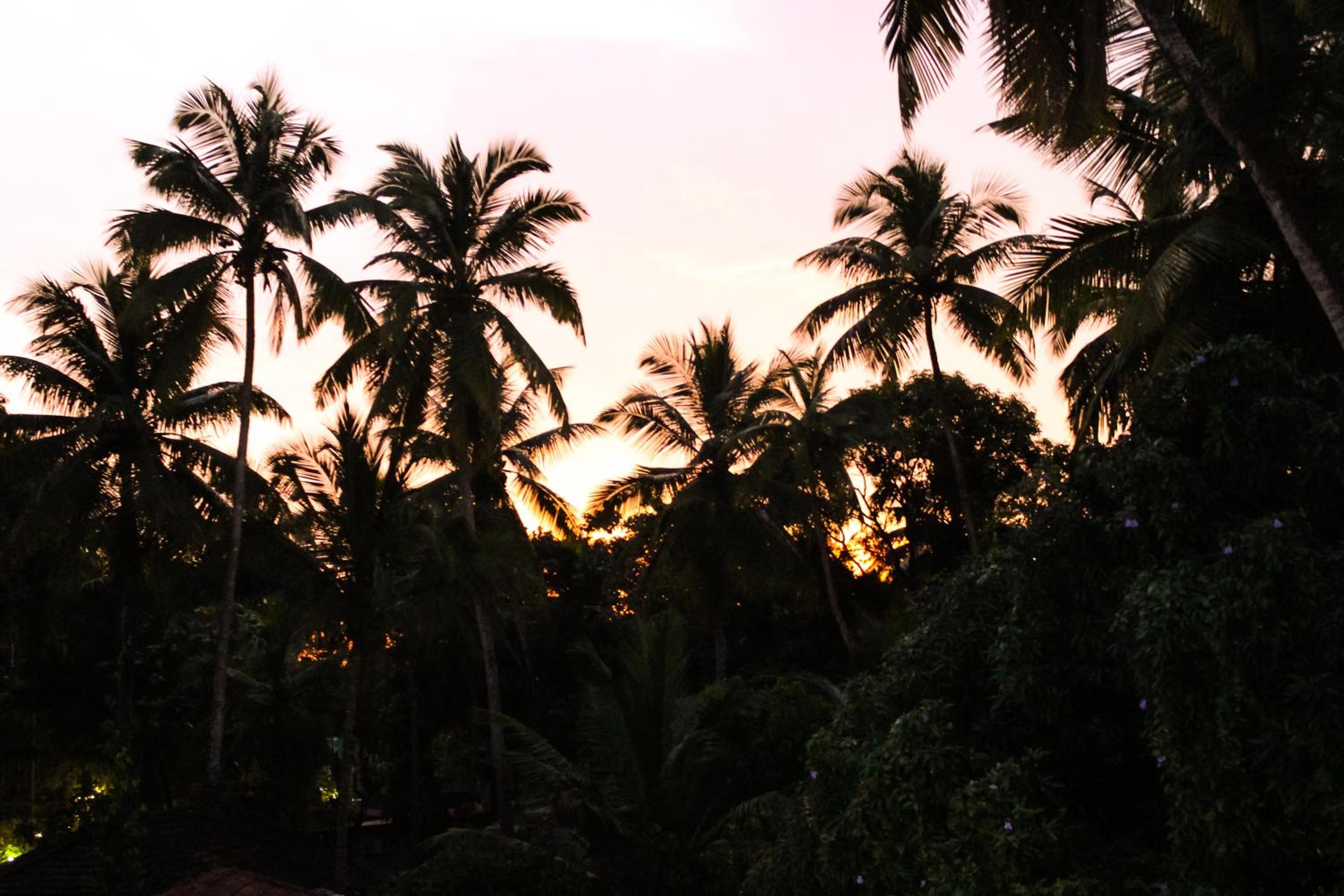 Summer Hostel view 5