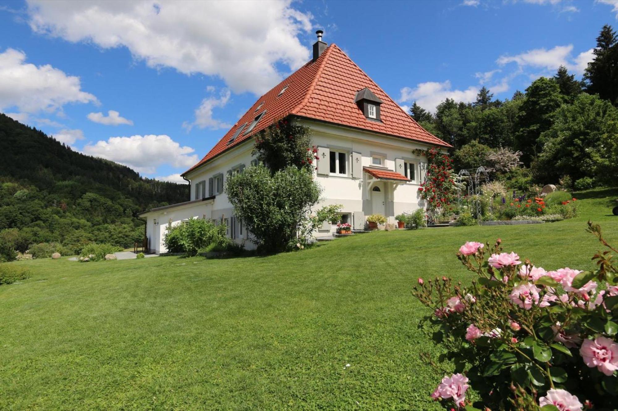 Apartment im Sägegässle