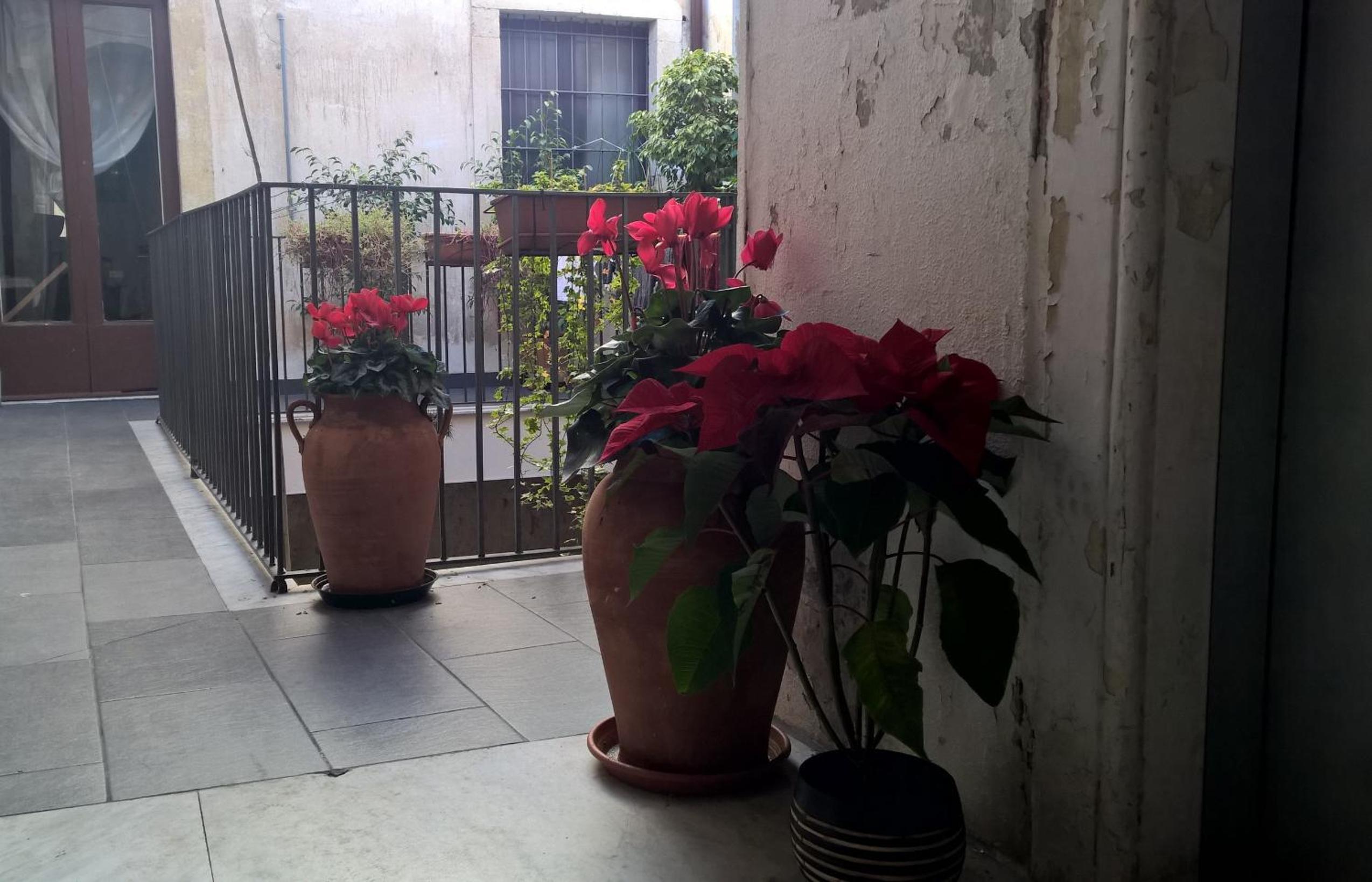Photo 32