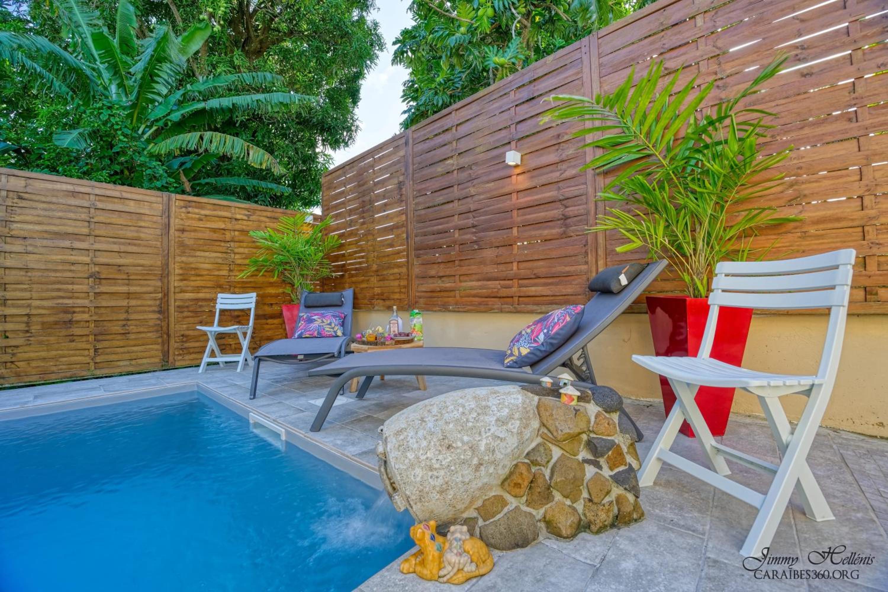 Villa familiale avec piscine a Le Robert view 4