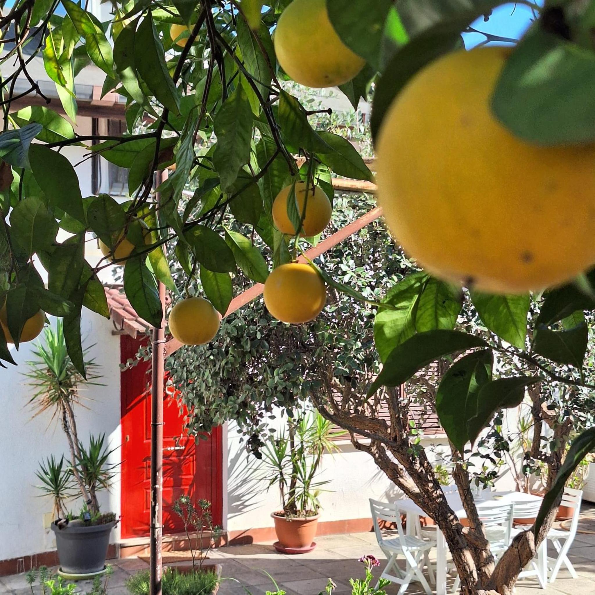 Giallo Limone B&B view 3