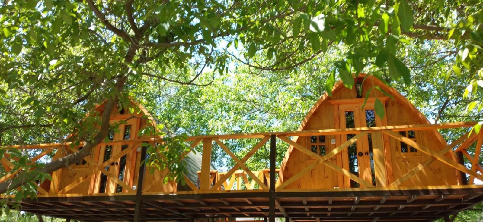 Cabañas Peñaflor Glamping