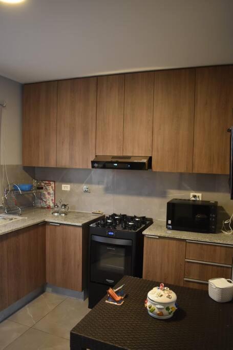 Lujoso Departamento Moderno