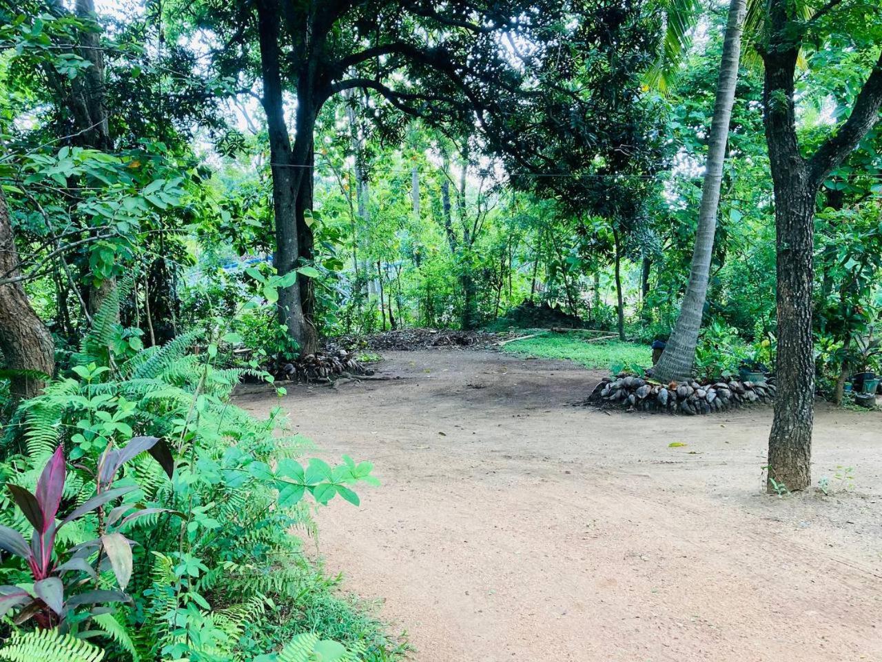 Sigiri Lodge