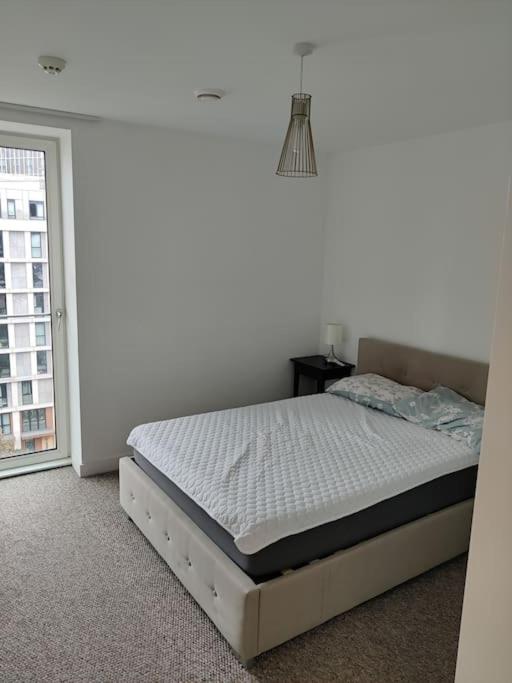 Amazing 2 Bedroom flat in E20