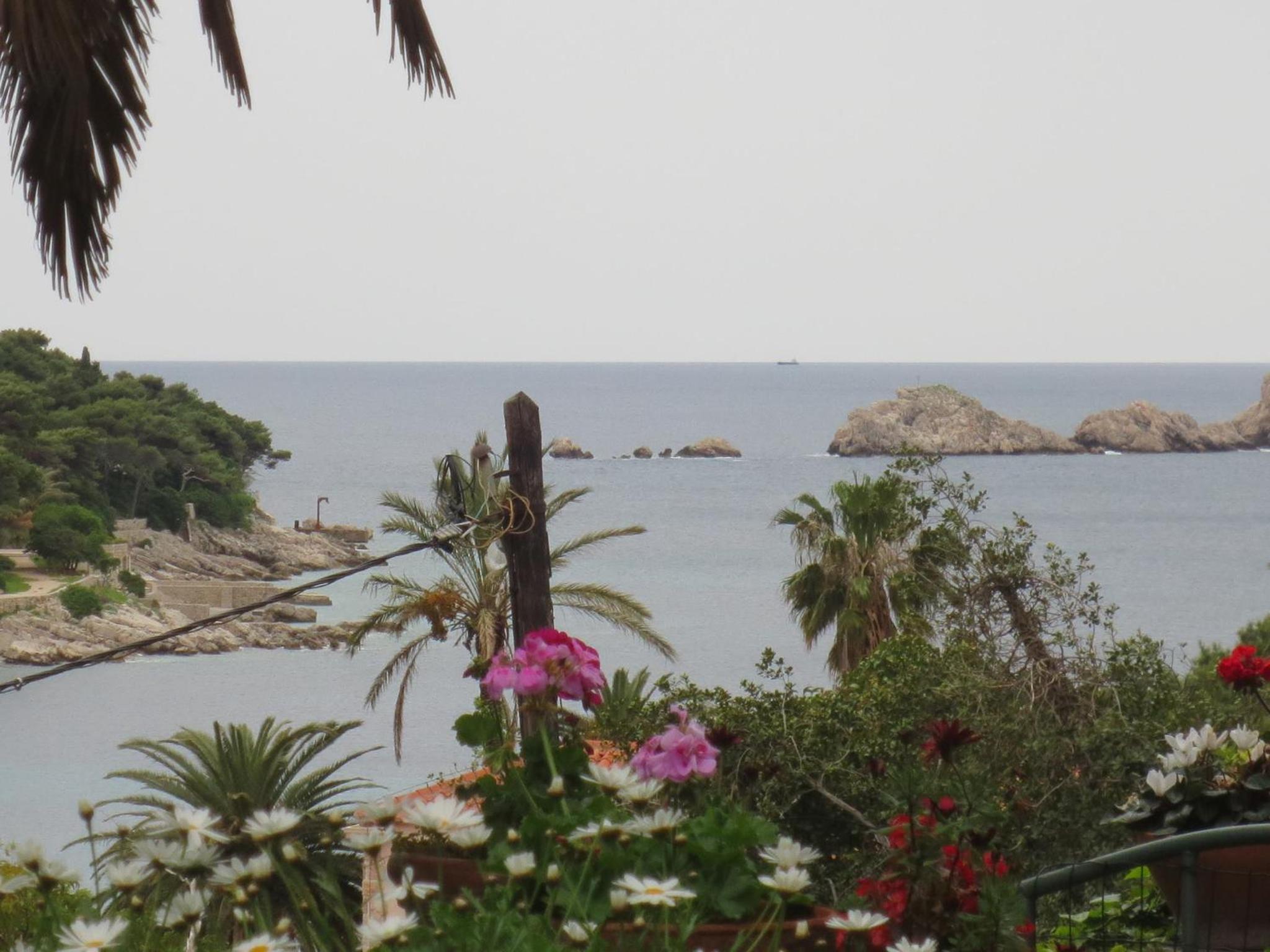 Villa Miomir