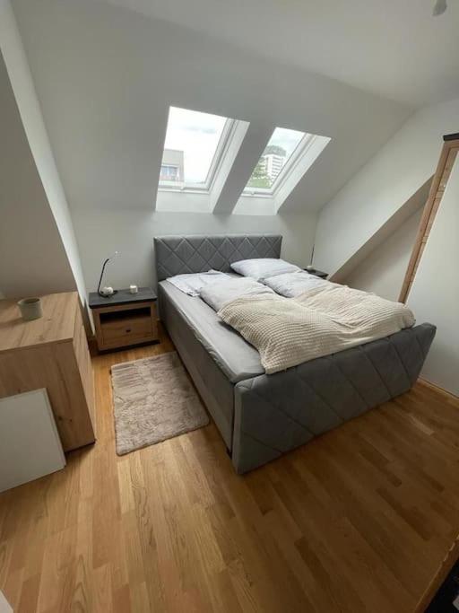 Cosy & Central - Wohnen nähe der Stadthalle