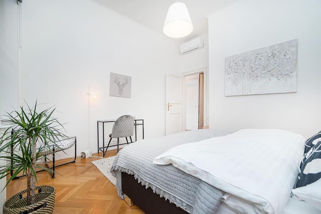 Bright and designed Apartment in the Center