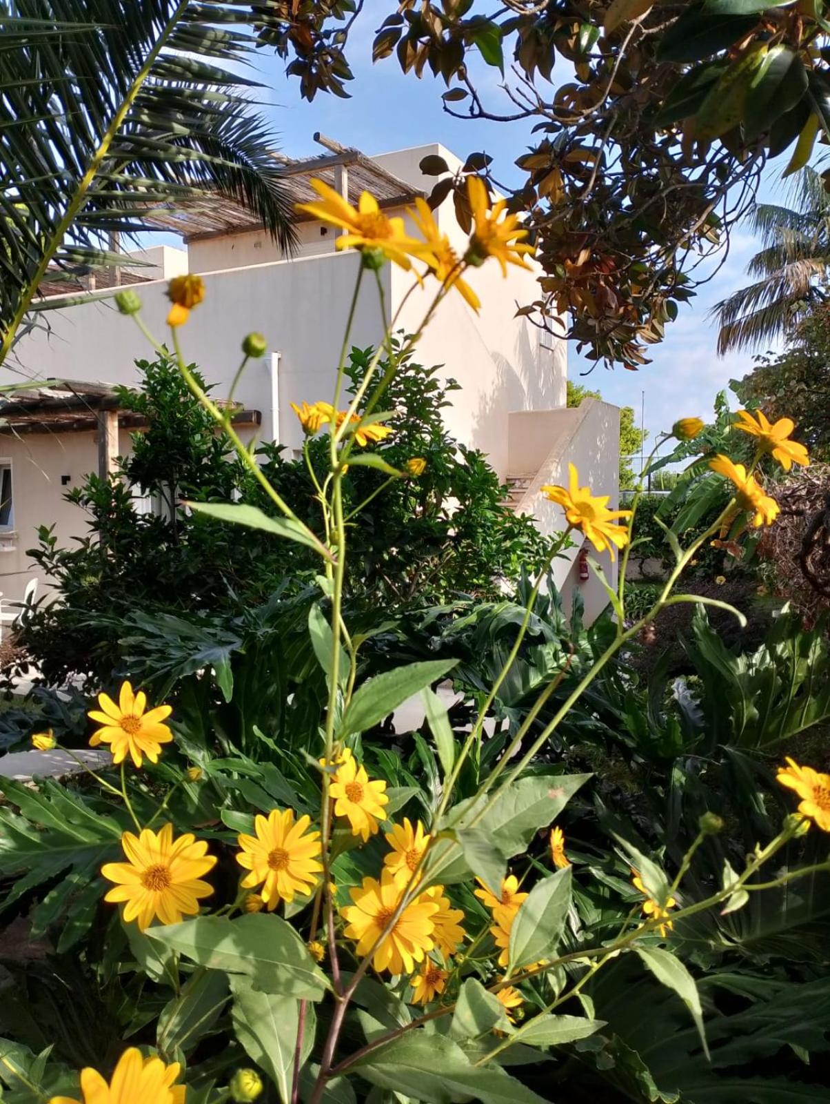 Casa Cunaci Bed and Breakfast view 2
