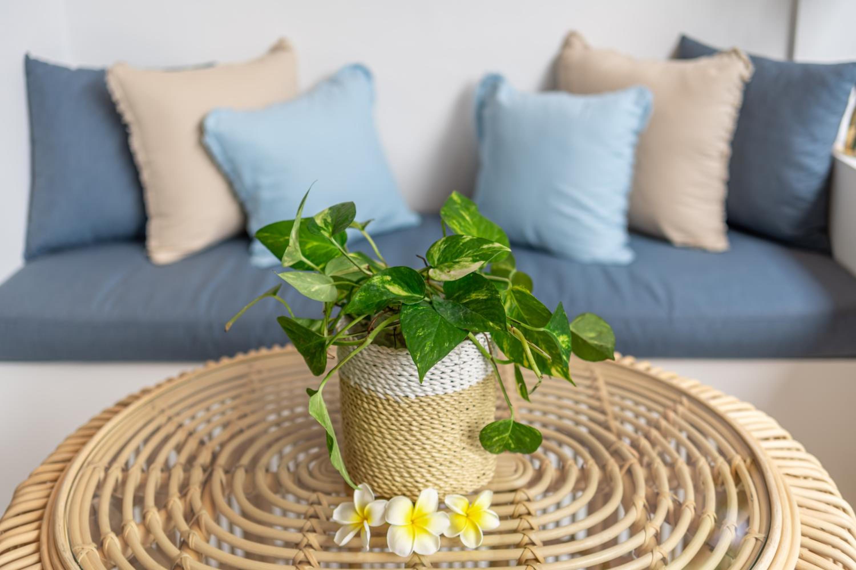 The Hepburn Seminyak ADULTS ONLY Chic Boutique Room with Pool 900m Walk to Beach