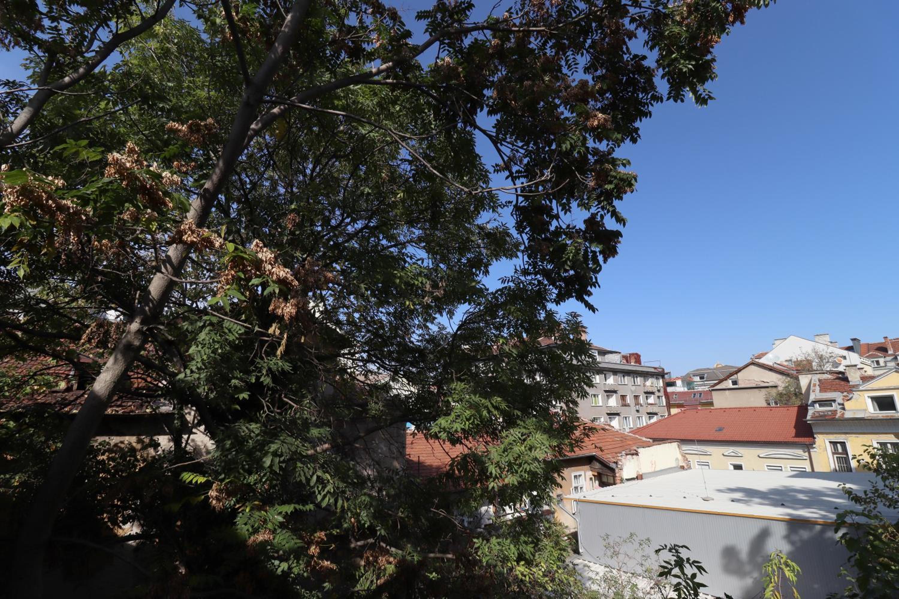 NEW - The City's Secret Garden 1BDRM Apartment