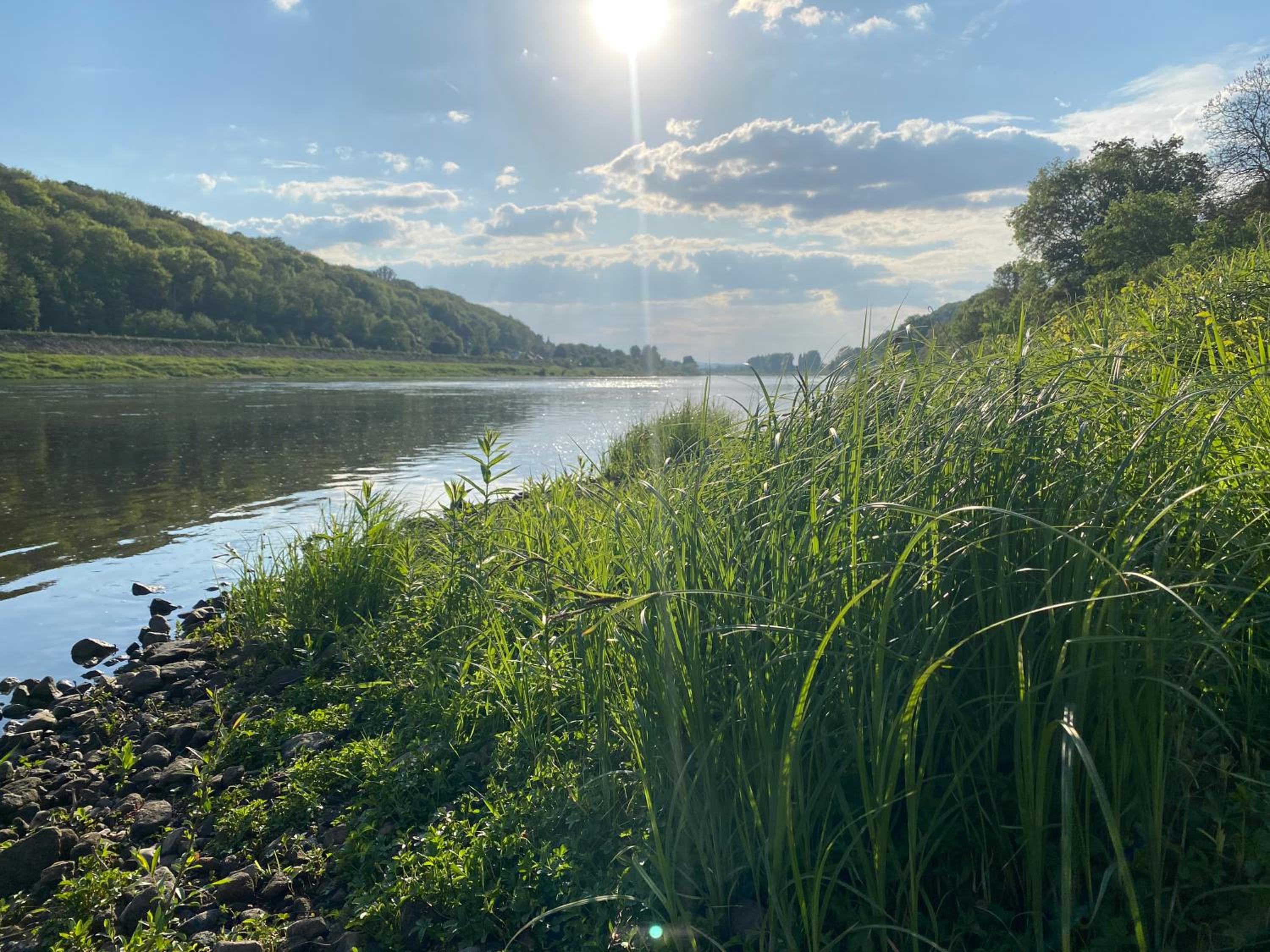 Wanderer Paradies en Pirna — other