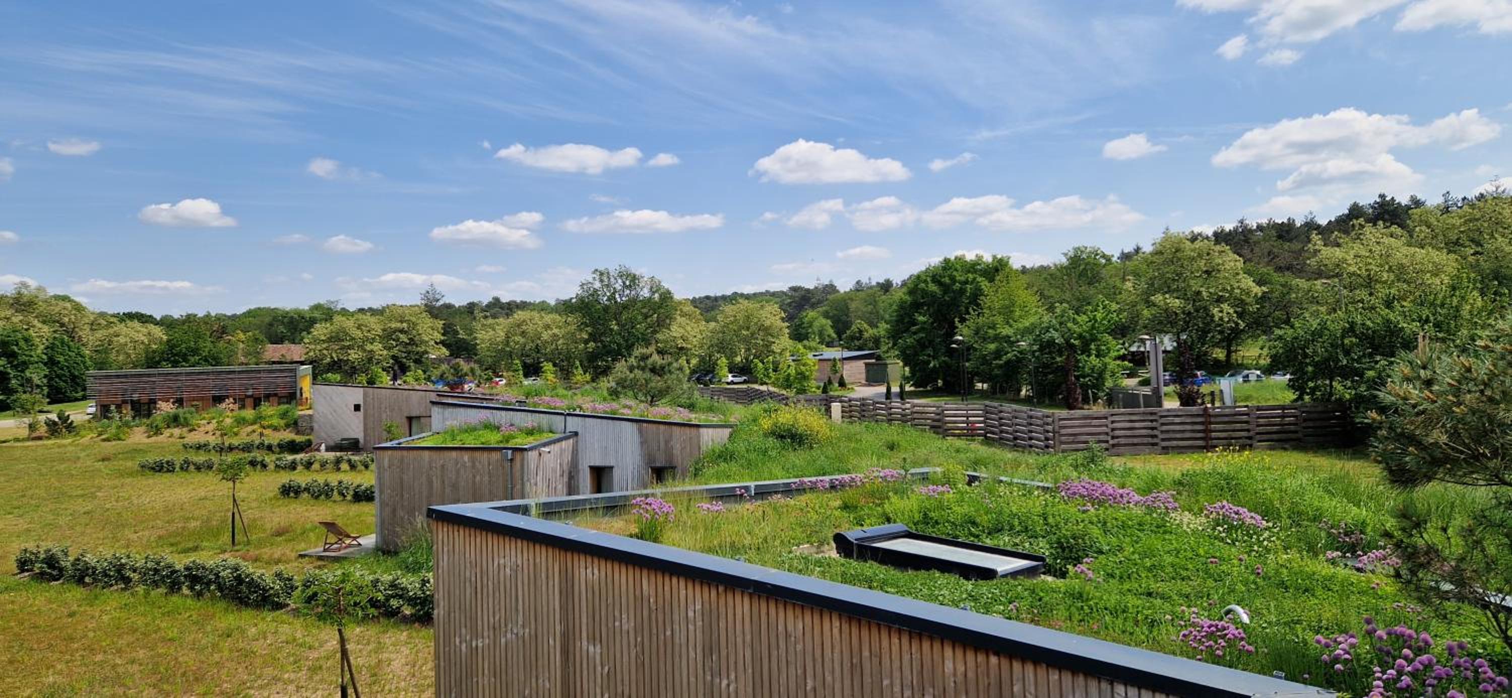 Domaine de l'Epau Eco-Resort, photo 18