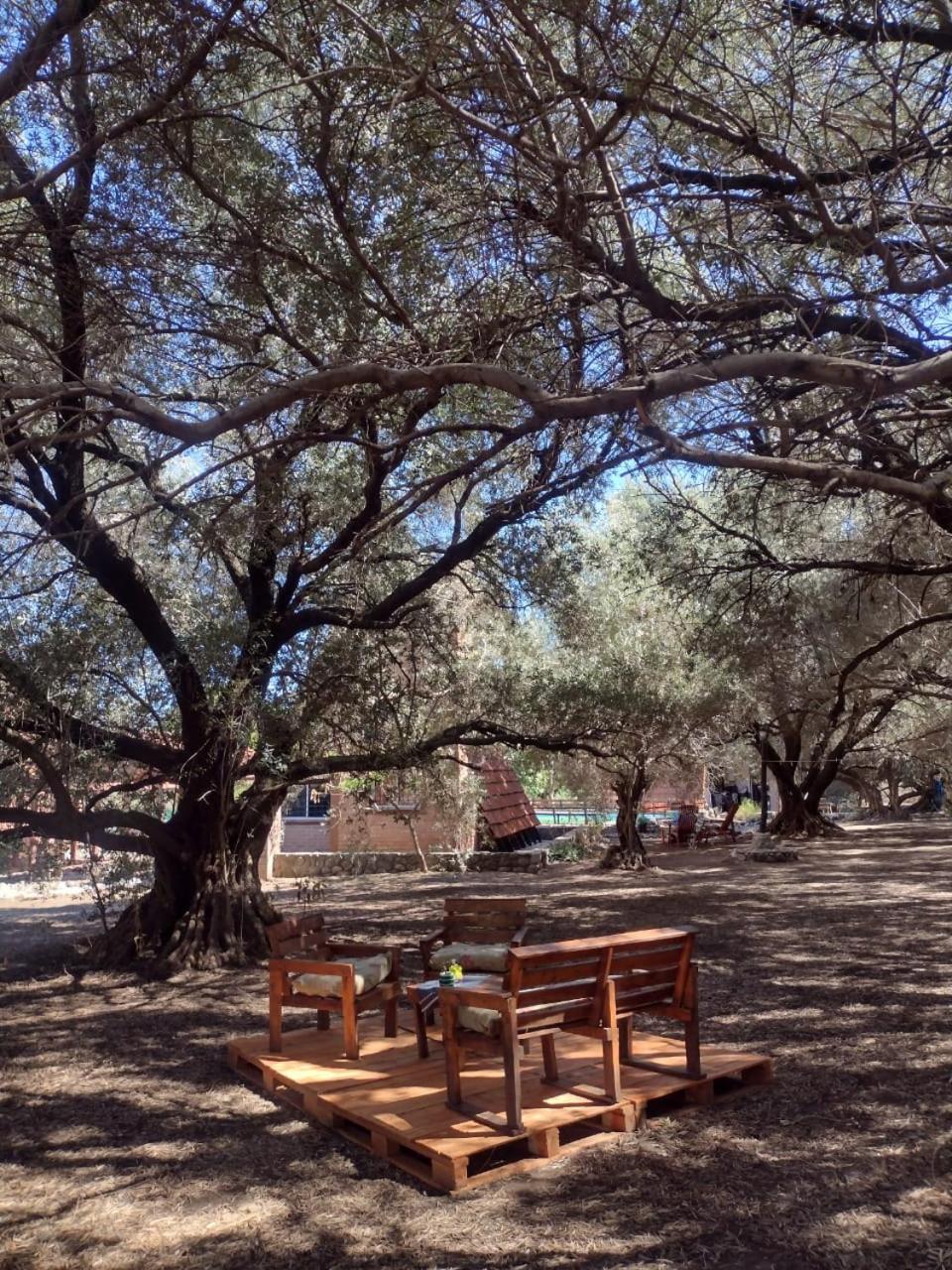 Alpinas San Lorenzo