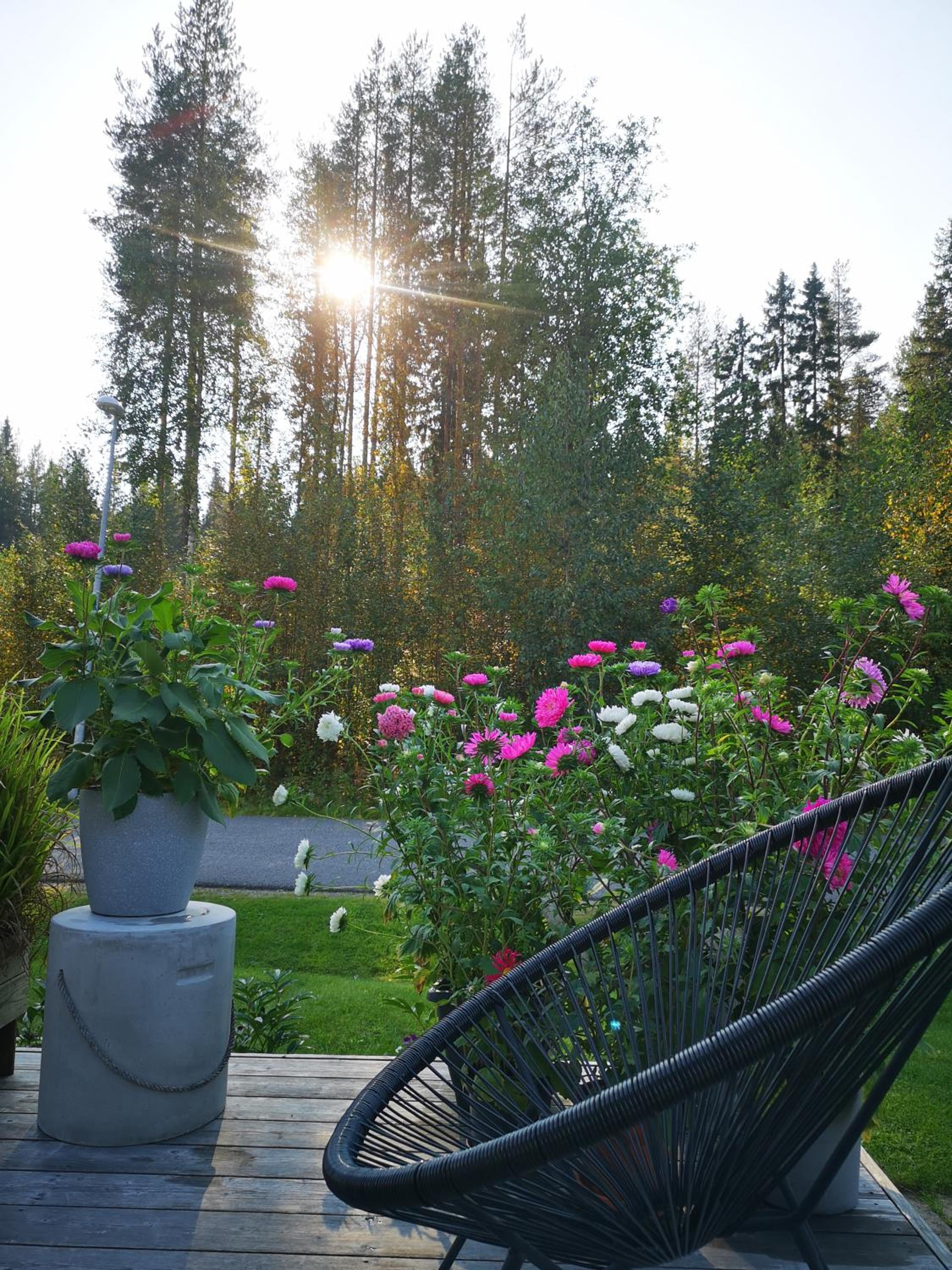 Villa Rovaniemi