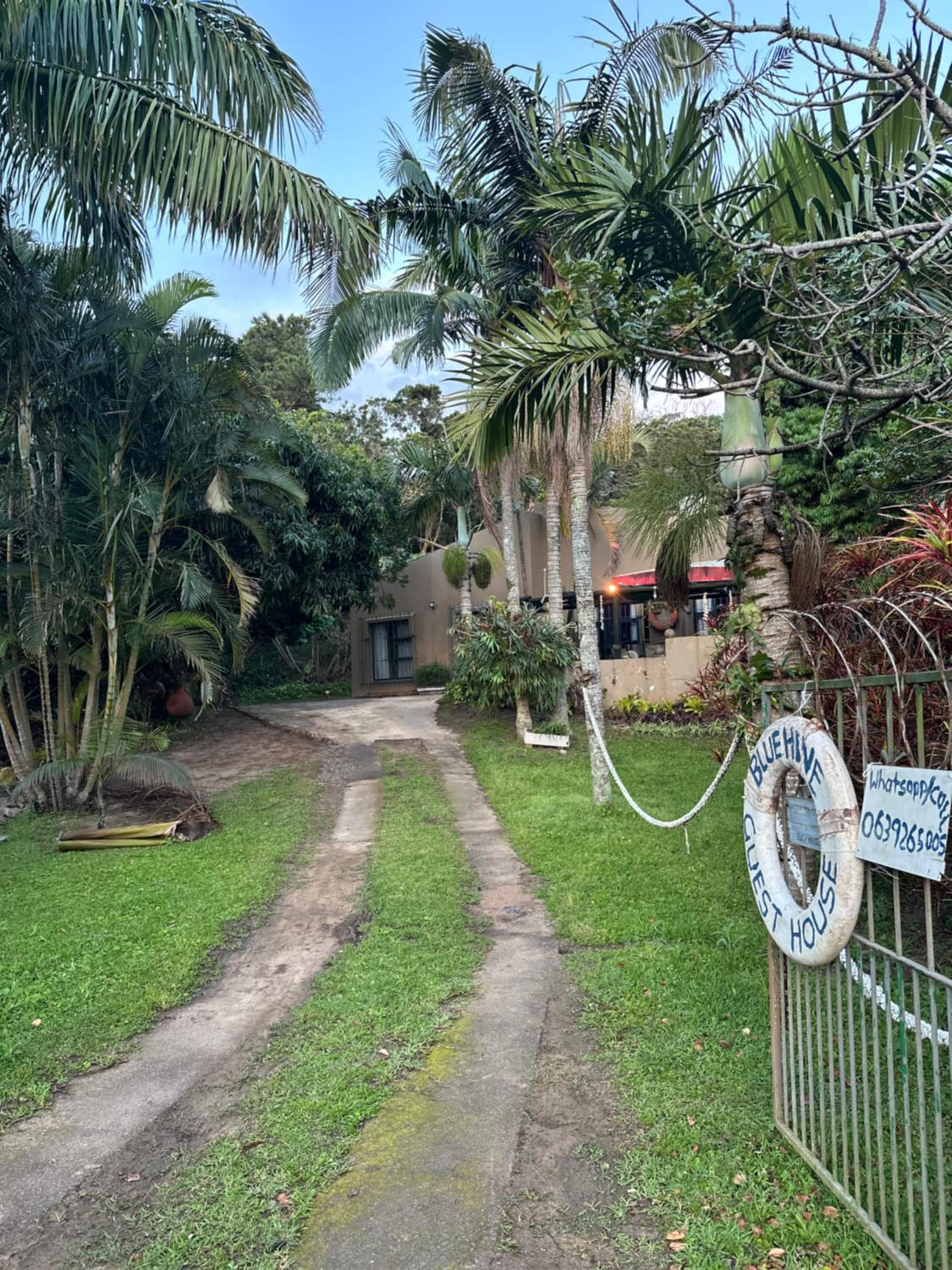 BlueHive guesthouse