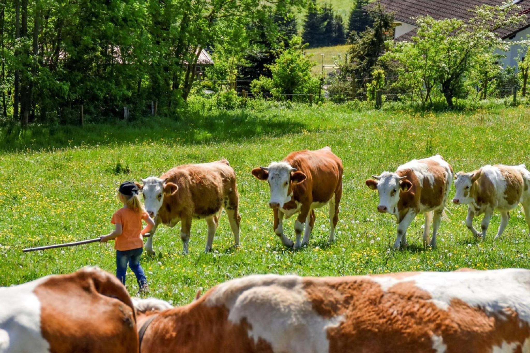Urlaub auf dem Haberlhof