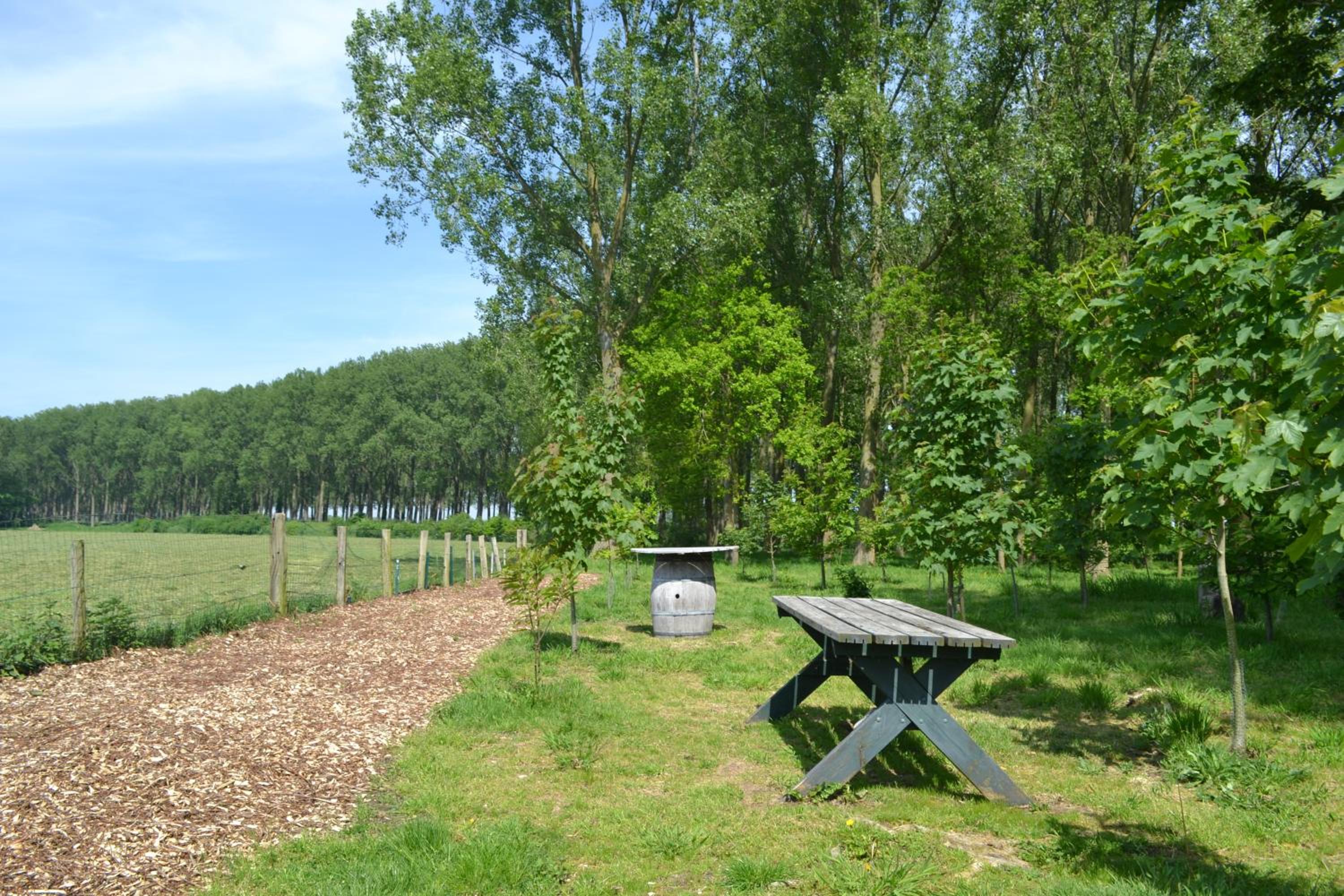 De Smokkelaar & Het Schuurtje
