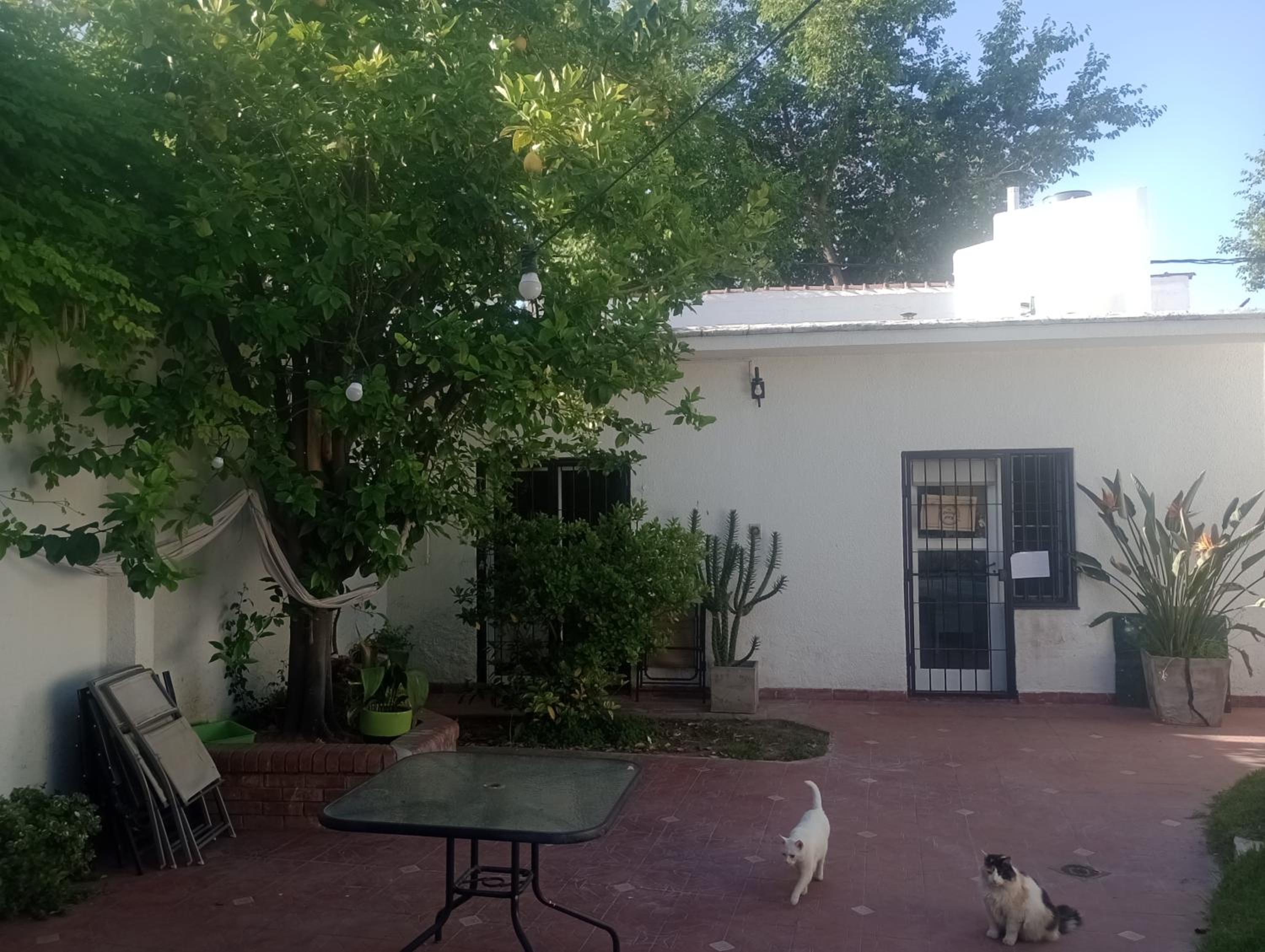 Casa Limón Mendoza