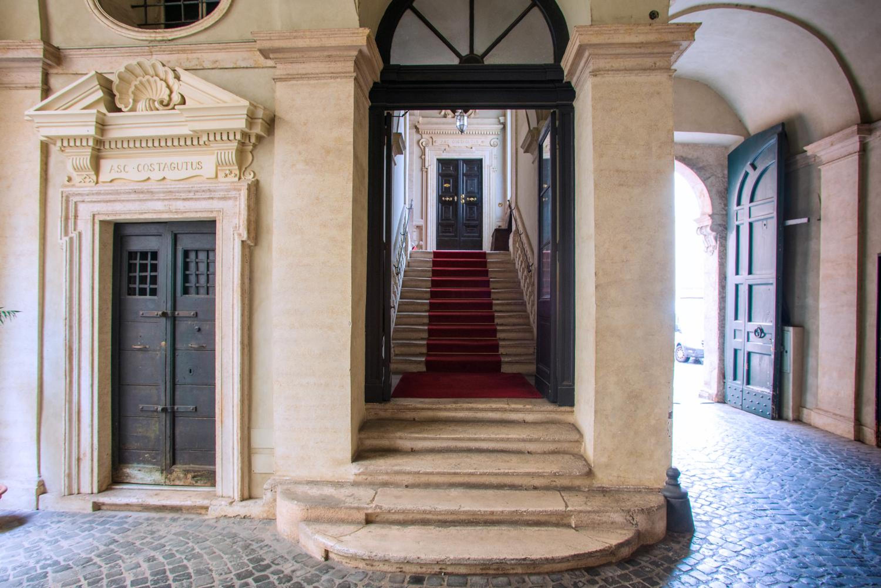 Il sogno delle tartarughe