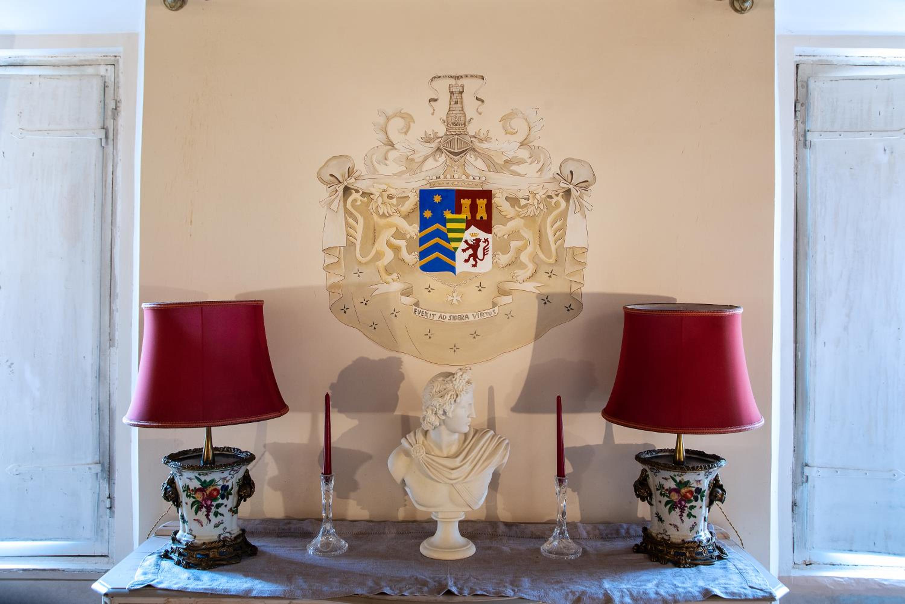 Il sogno delle tartarughe