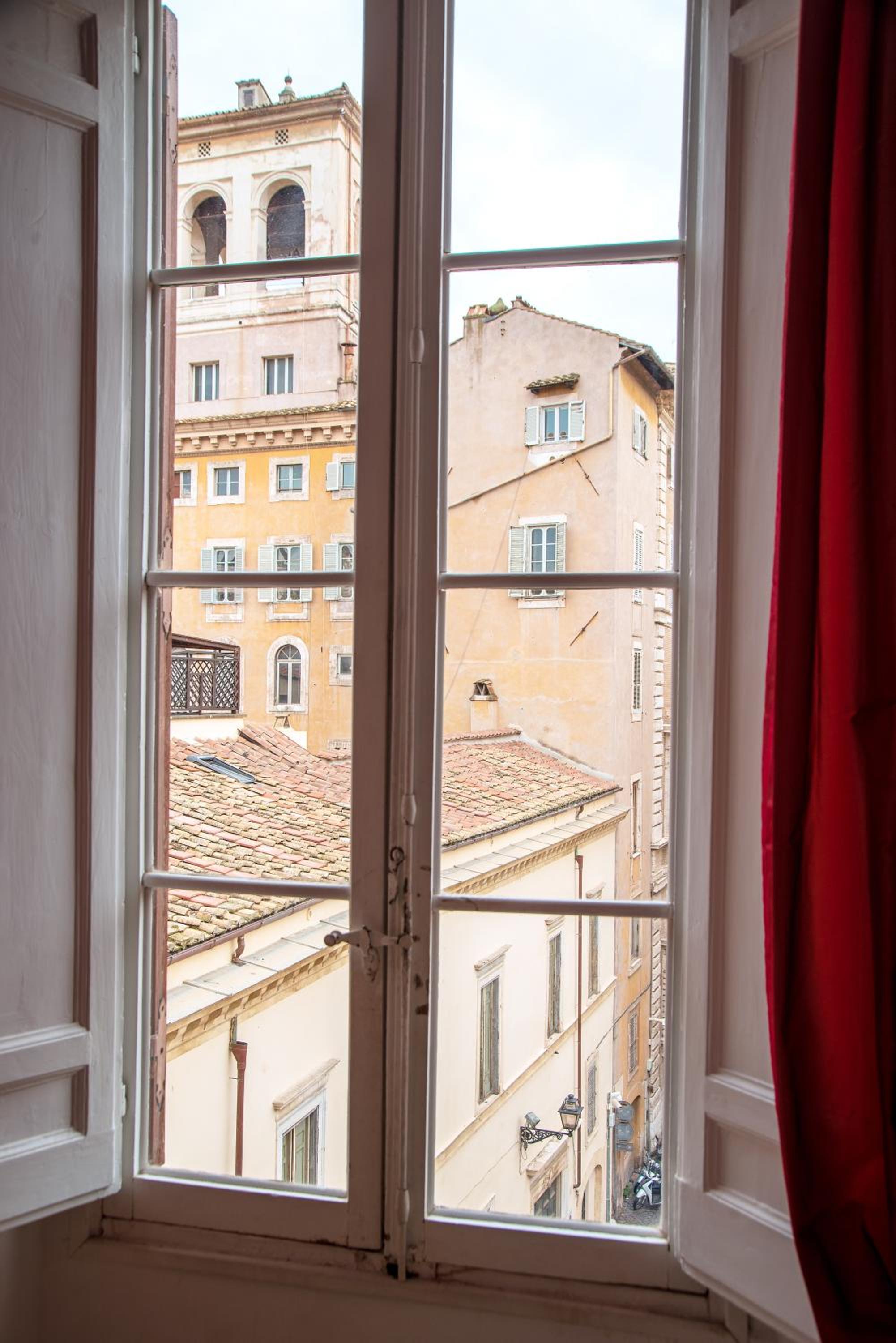 Il sogno delle tartarughe