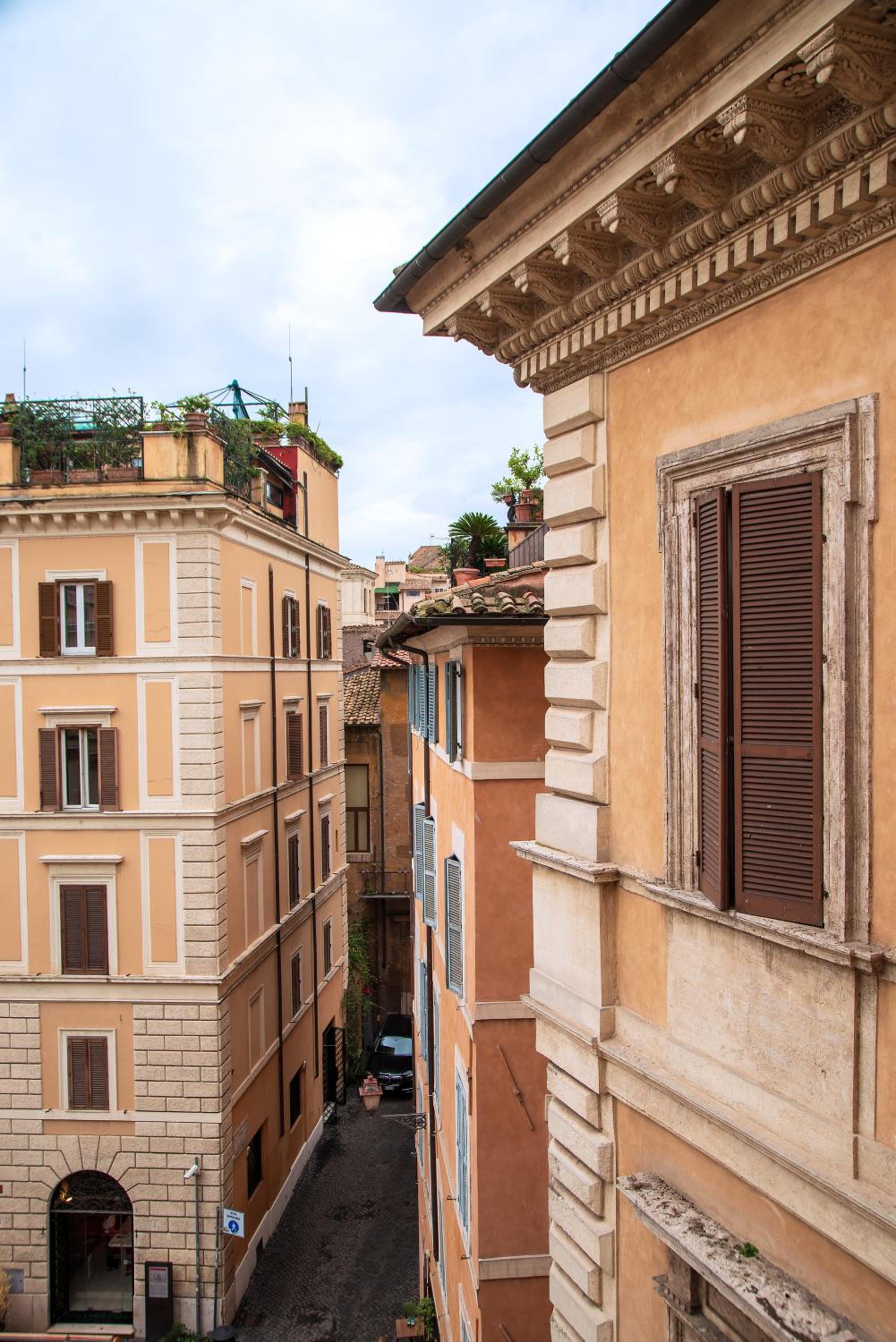 Il sogno delle tartarughe