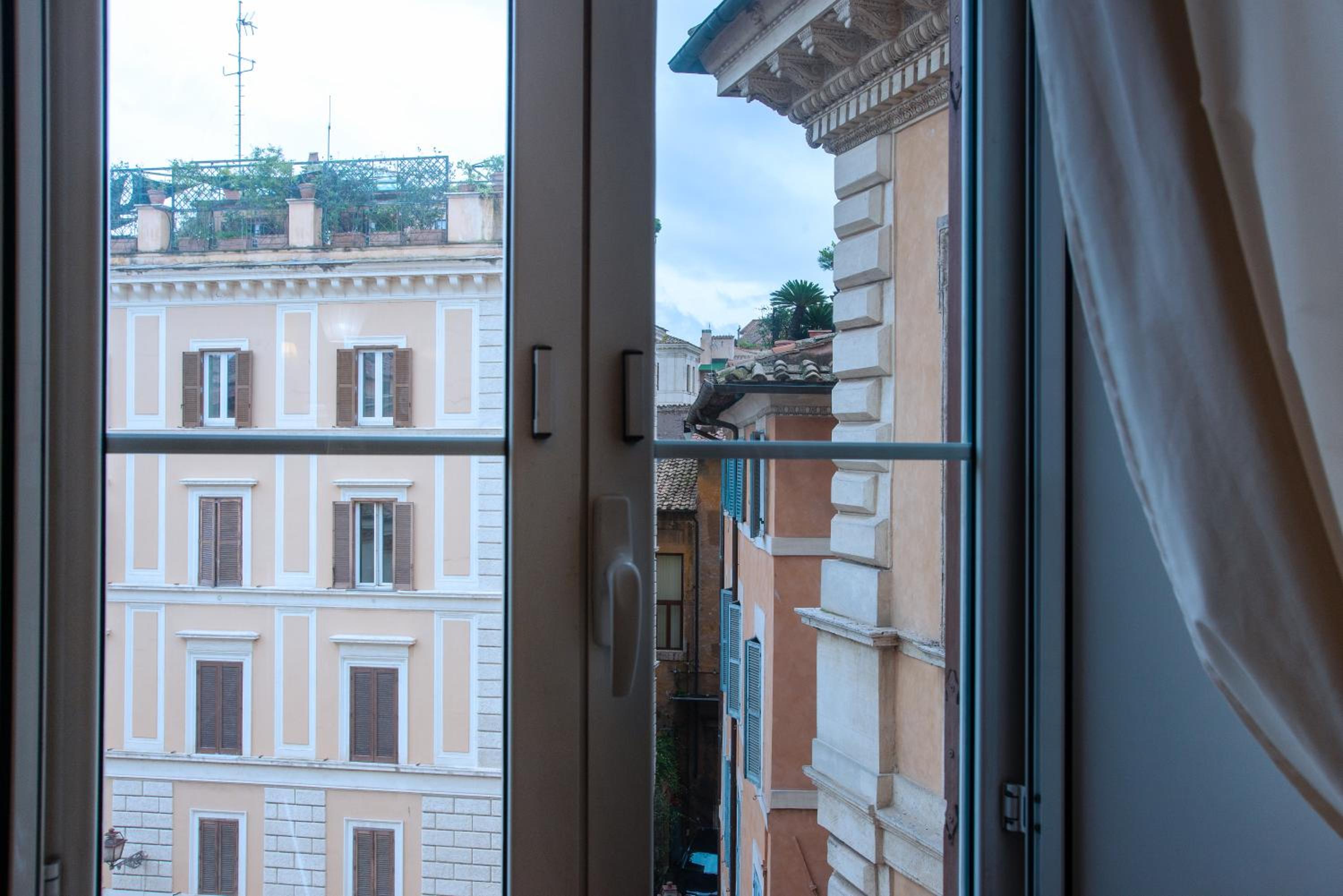 Il sogno delle tartarughe