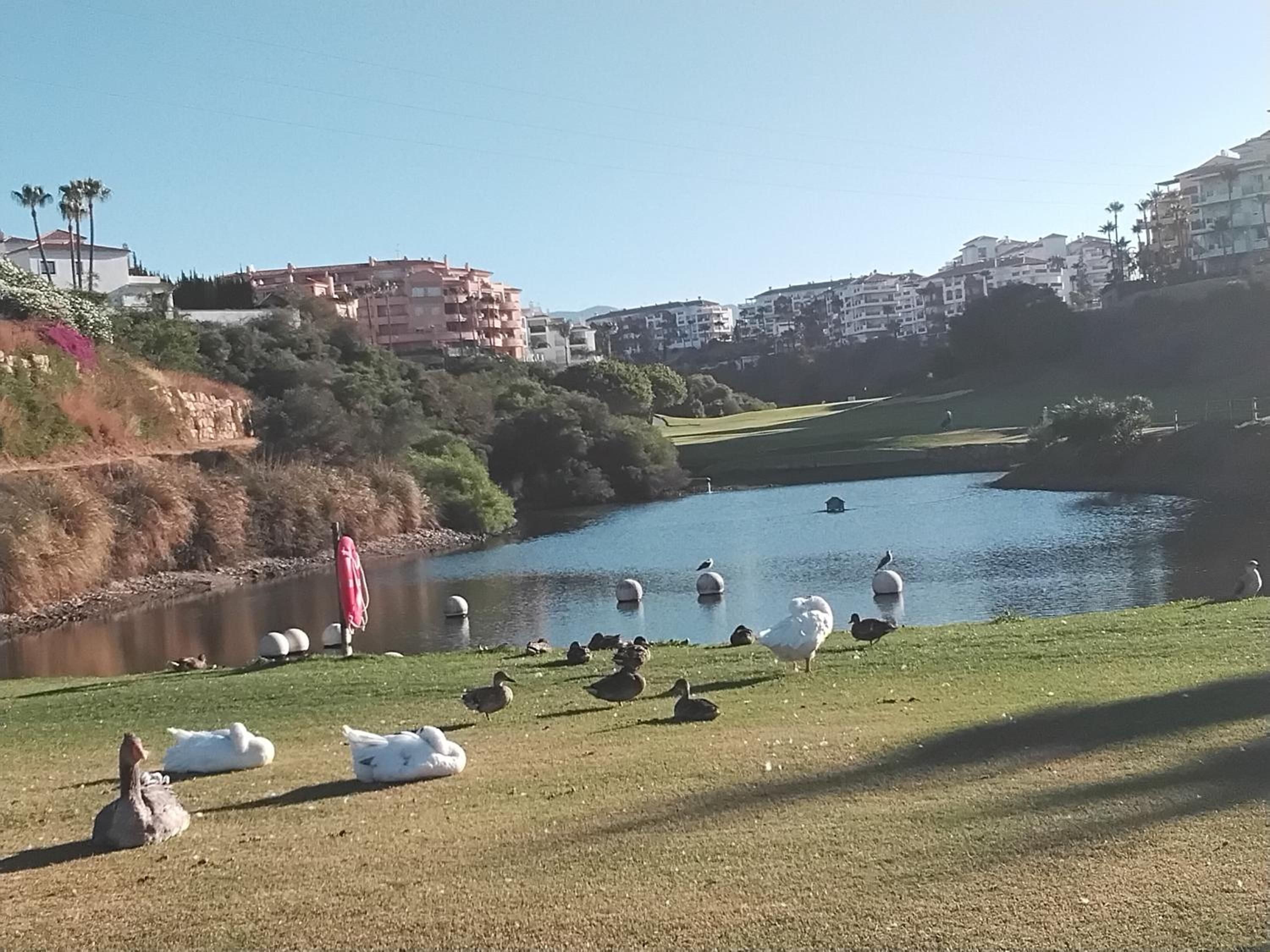 island of riviera golf beach mijas costa
