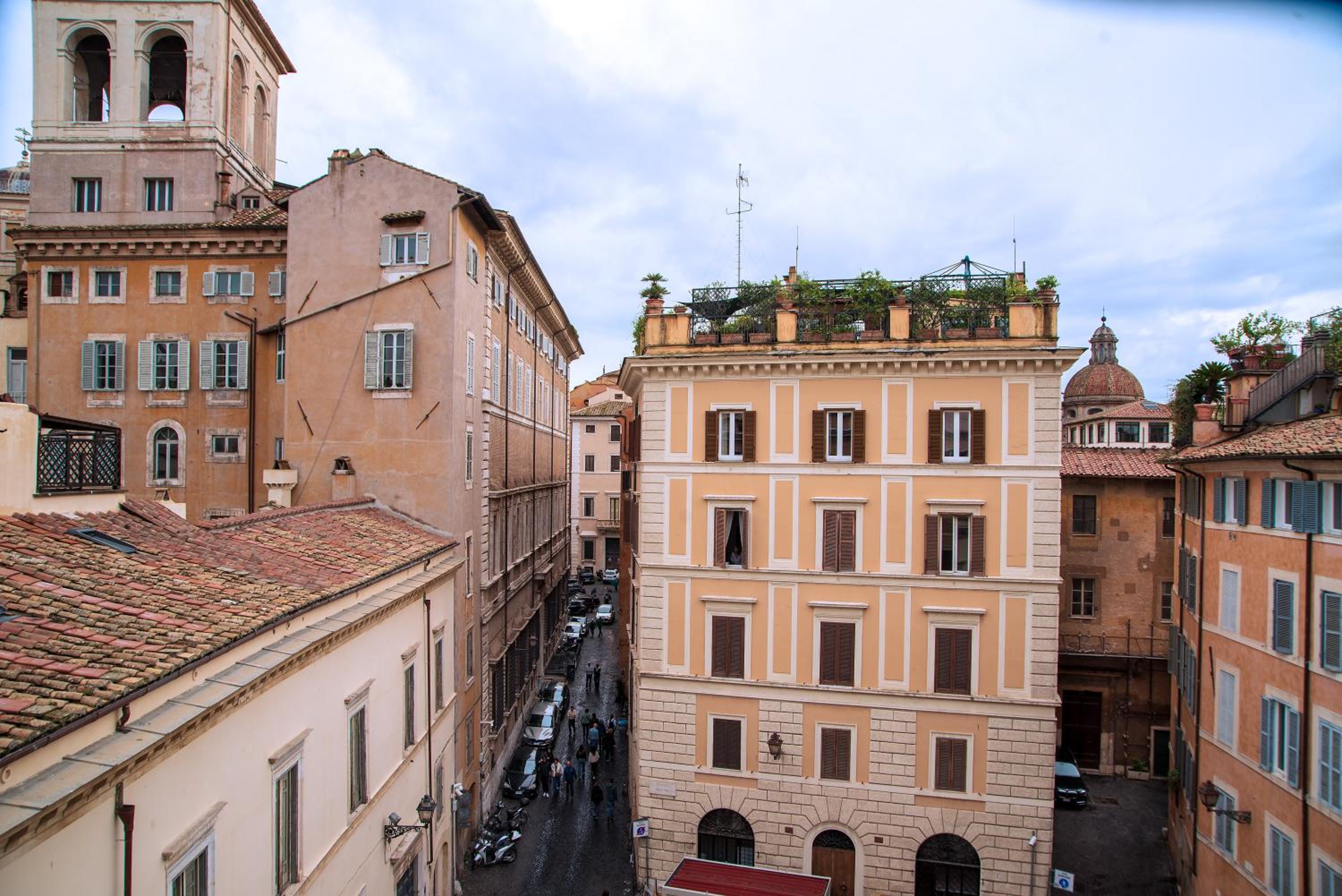 Il sogno delle tartarughe