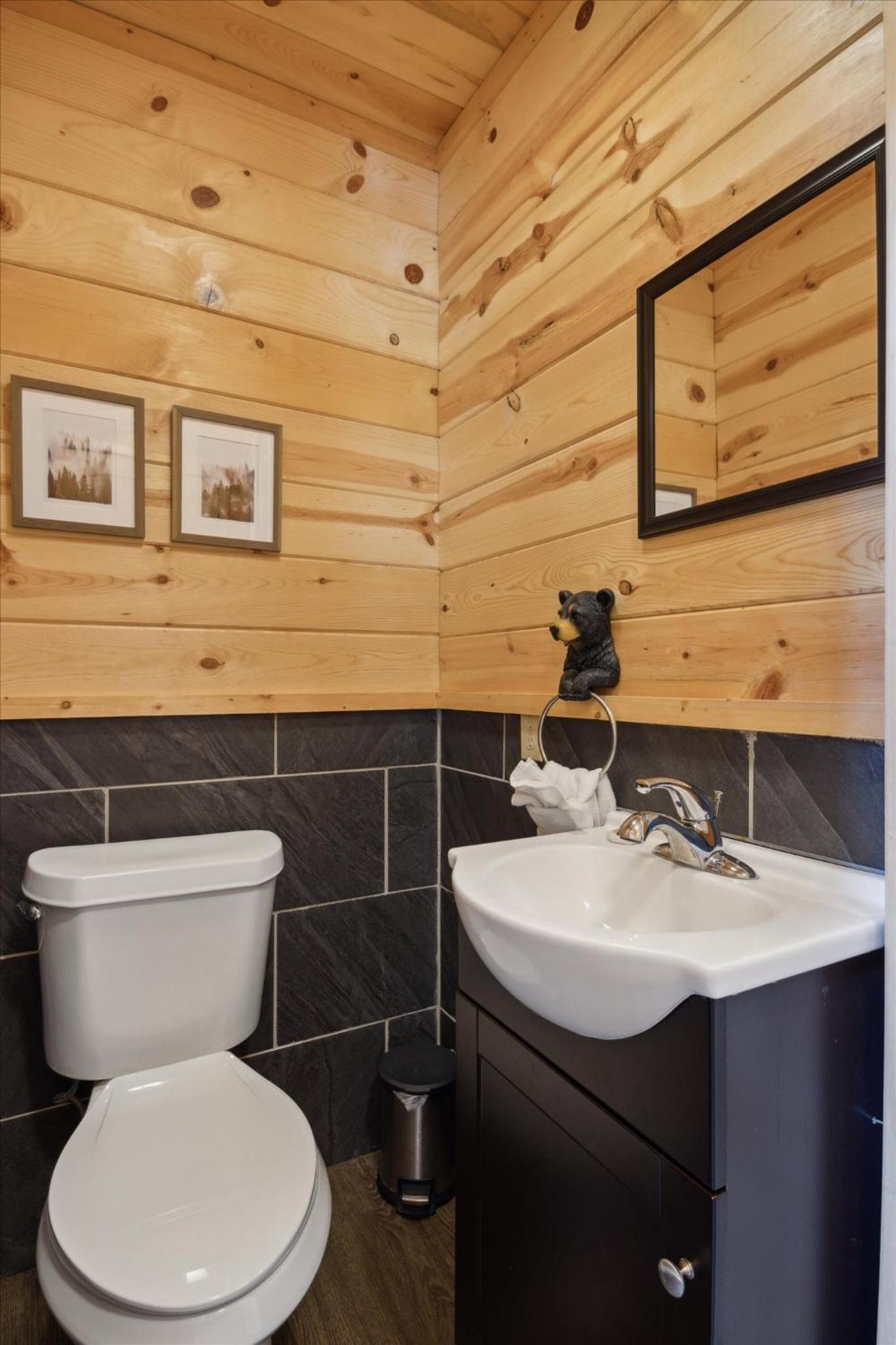 Hidden Bear Cabin - Firepit & Hot Tub, Flat Roads, 10 mins to Parkway view 3