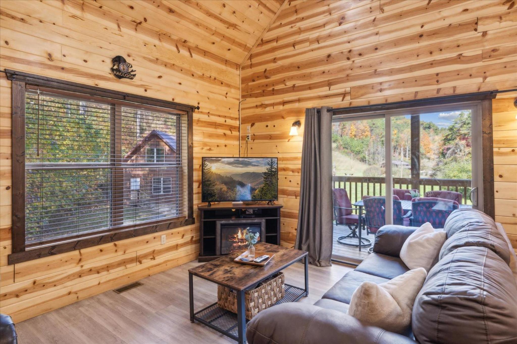 Lazy Raccoon Cabin view 5