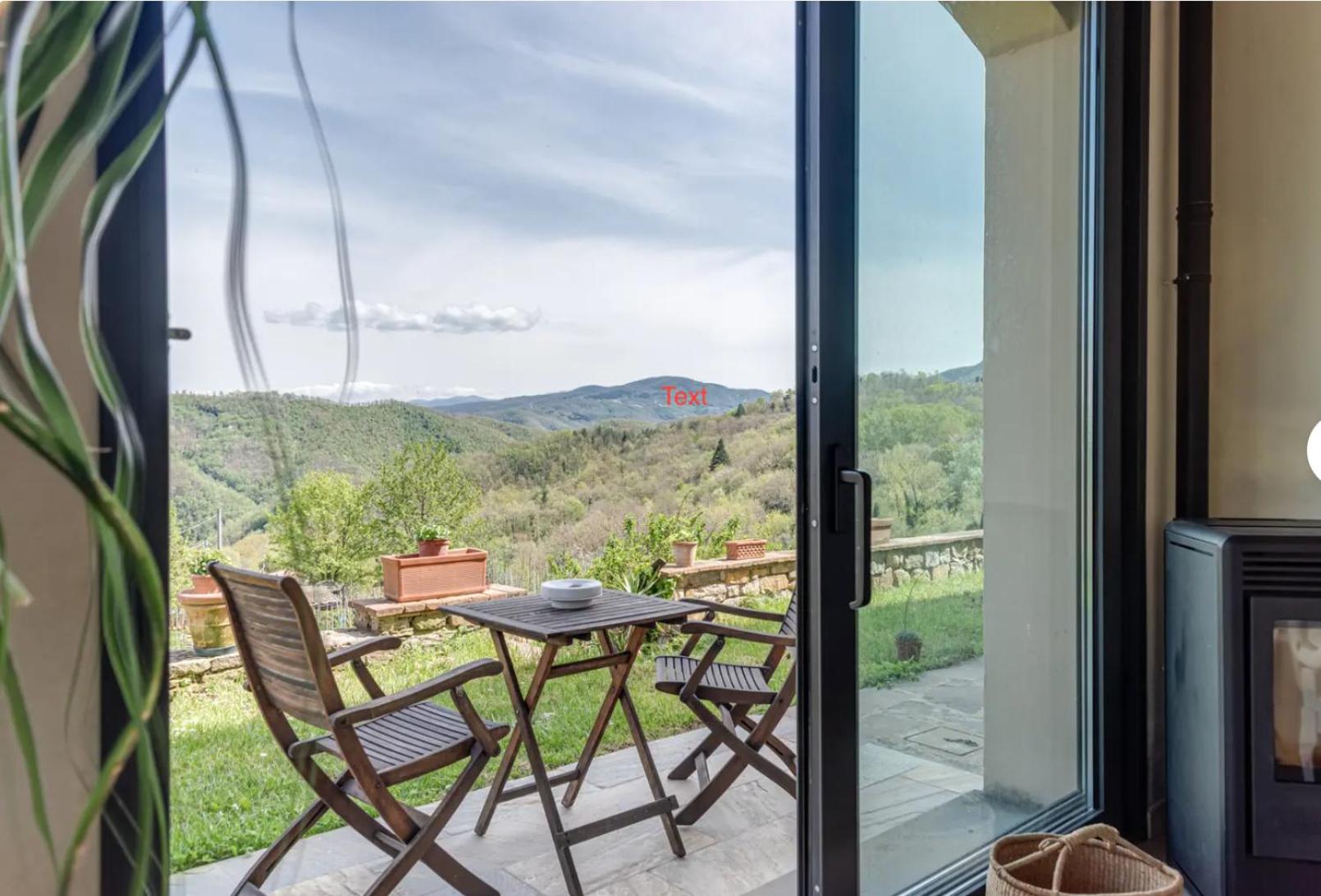 Villa Porcigliano Olive Grove view 5