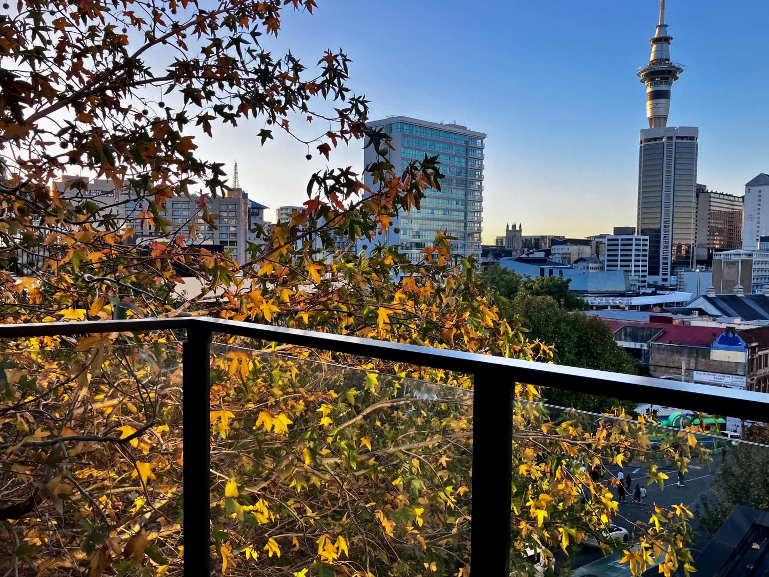 Central Auckland condo, 2Br, 2Brm, pool, gym, study view 5