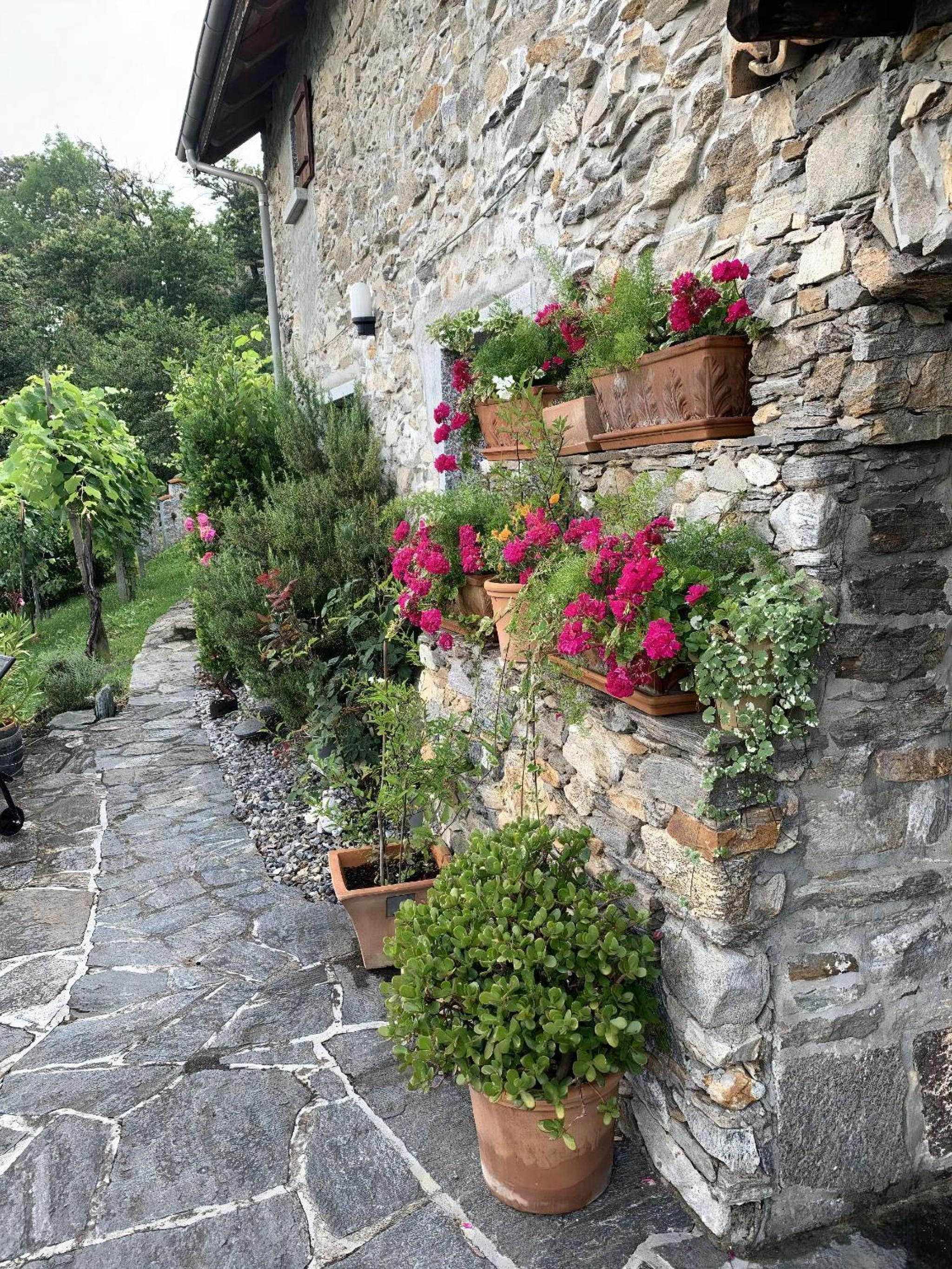 Rustico Motto Della Capra